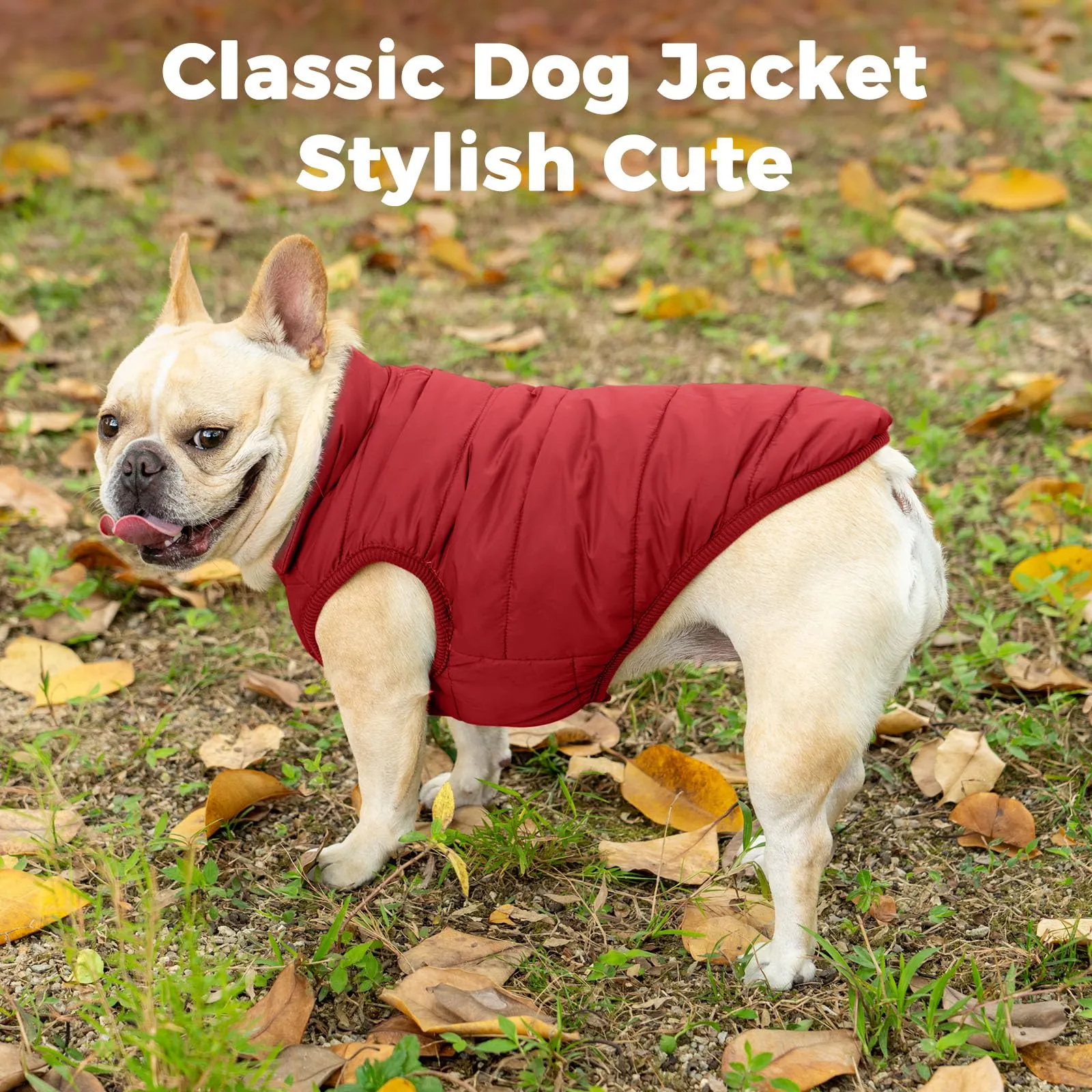 JoyDaog Giacca per cani a 2 strati foderata in pile antivento, Rosso, XXXL - immagine 2