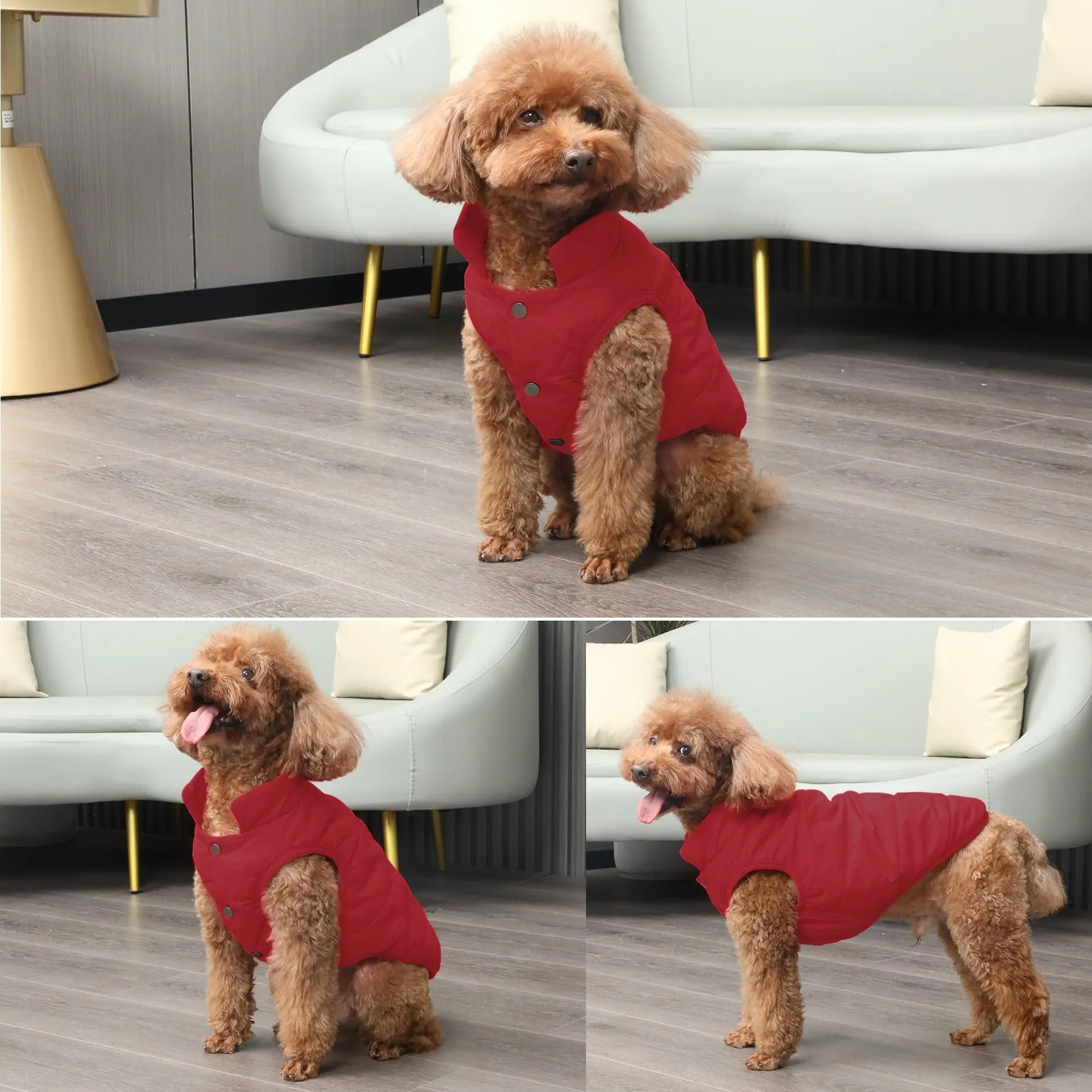 JoyDaog Giacca per cani a 2 strati foderata in pile invernale antivento, XS, Rosso - immagine 7