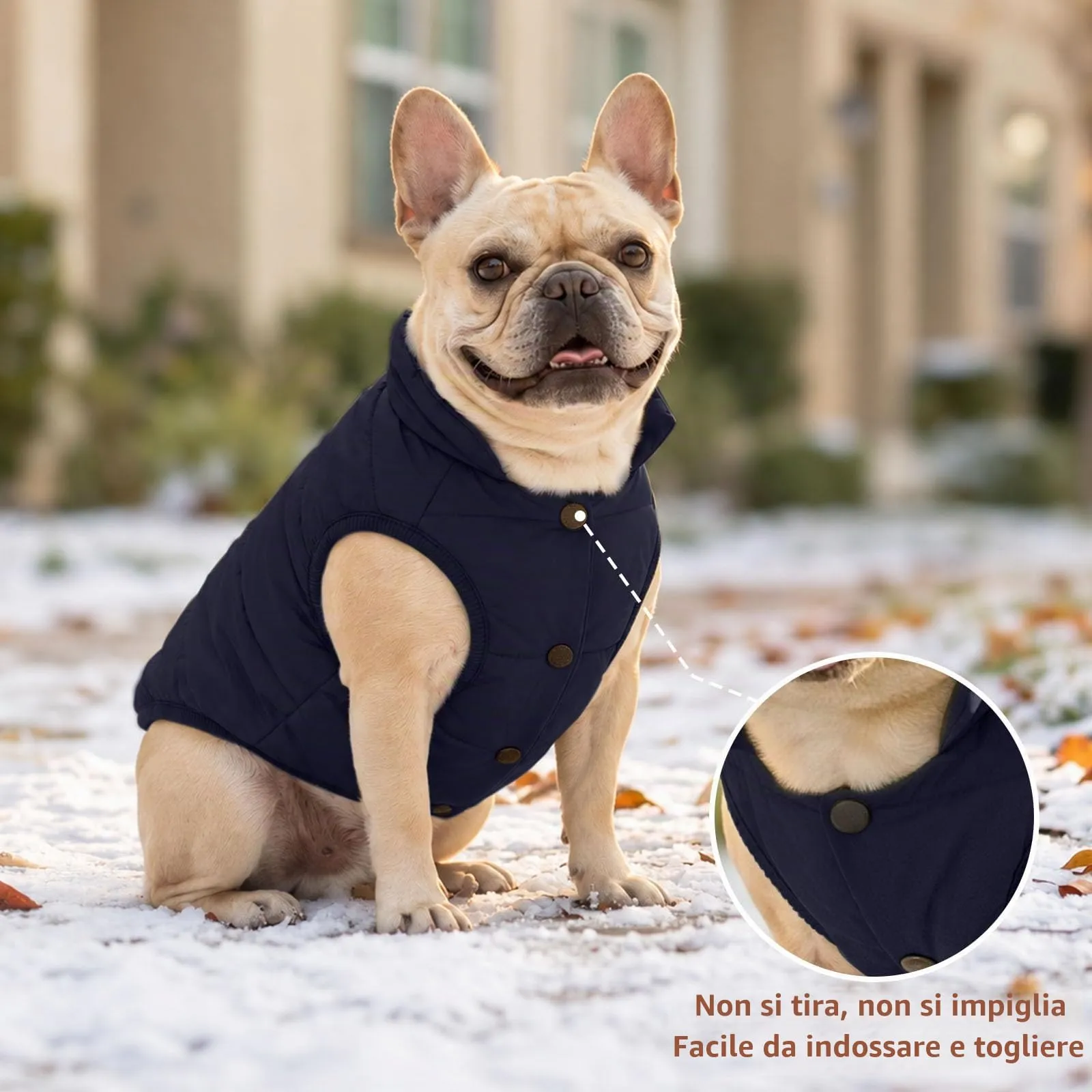 JoyDaog Giacca per cani a 2 strati foderata in pile antivento, Blu, XXXL - immagine 9