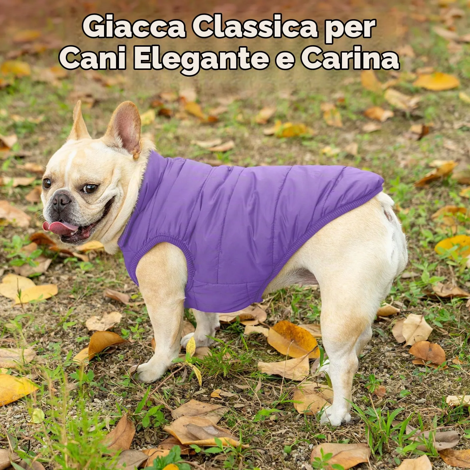 JoyDaog Giacca per cani foderata in pile, impermeabile al vento, Viola, XS - immagine 2