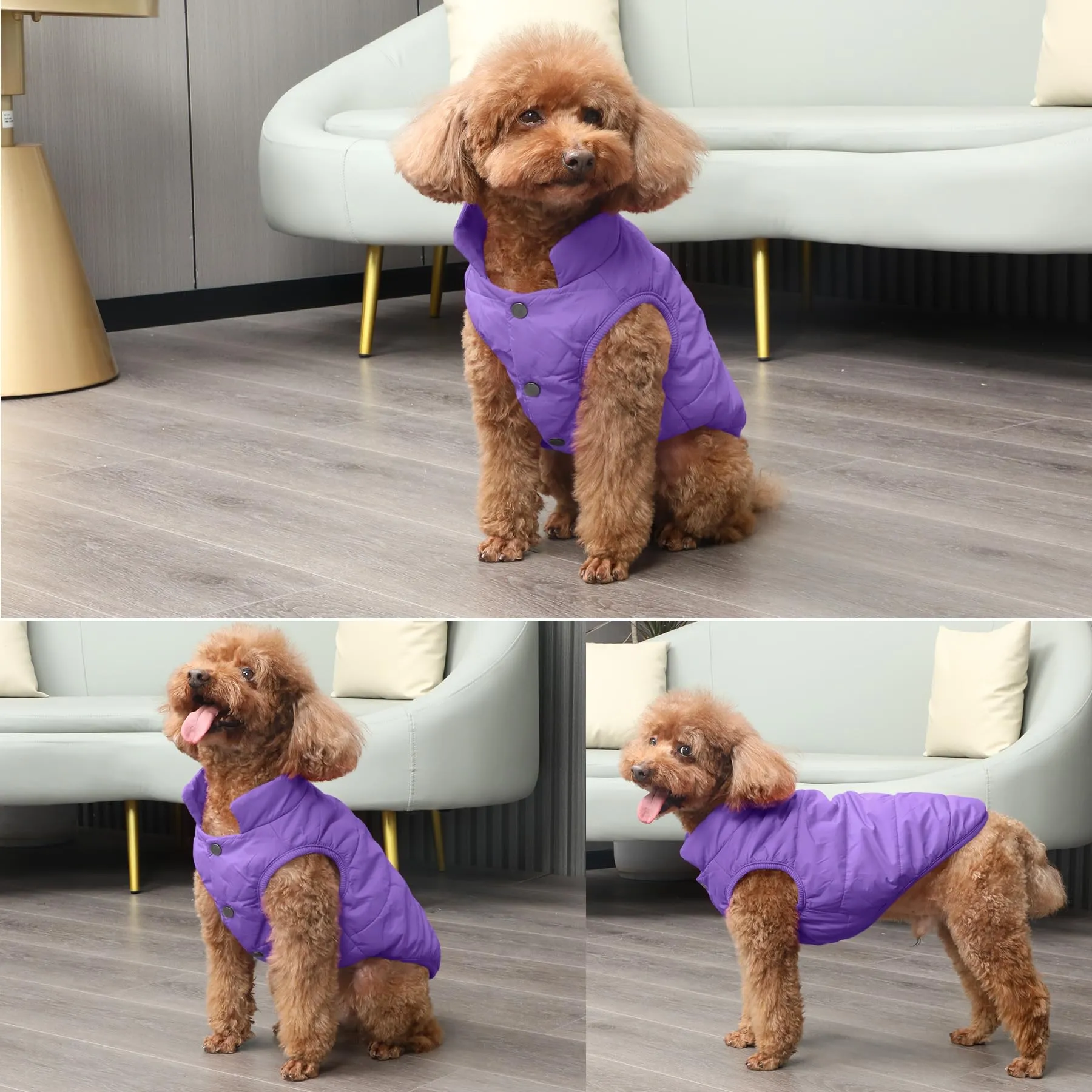 JoyDaog Giacca per cani foderata in pile, impermeabile al vento, Viola, XS - immagine 6