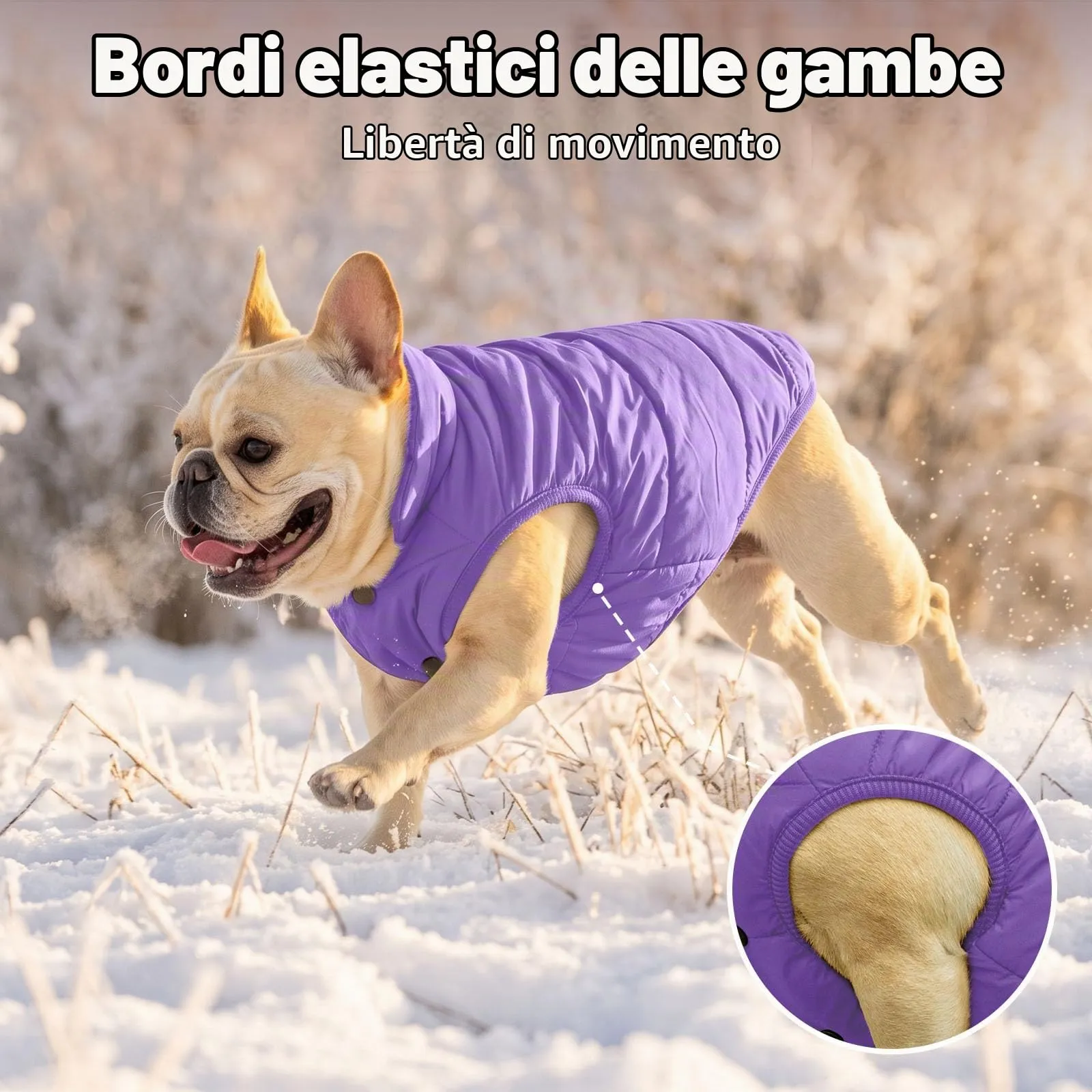 JoyDaog Giacca per cani foderata in pile, impermeabile al vento, Viola, XS - immagine 7