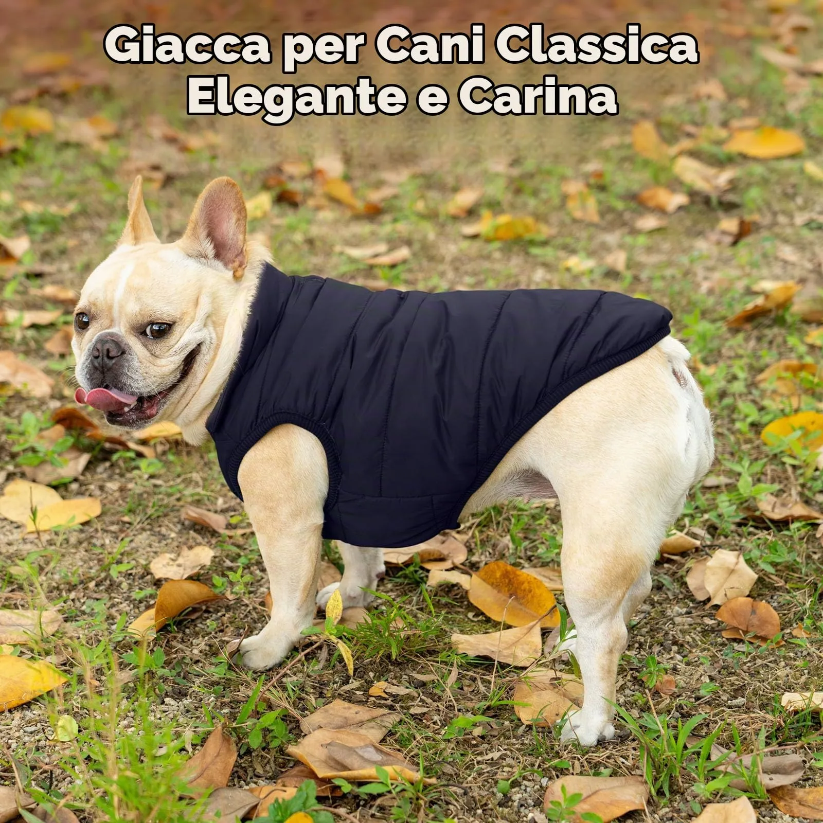 JoyDaog Giacca in Fleece per Cani Piccoli, Blu, XS - immagine 2