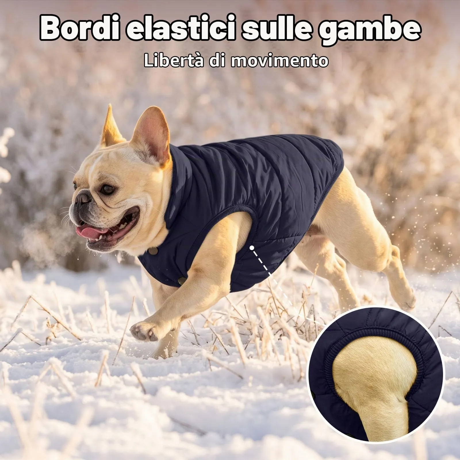 JoyDaog Giacca in Fleece per Cani Piccoli, Blu, XS - immagine 7