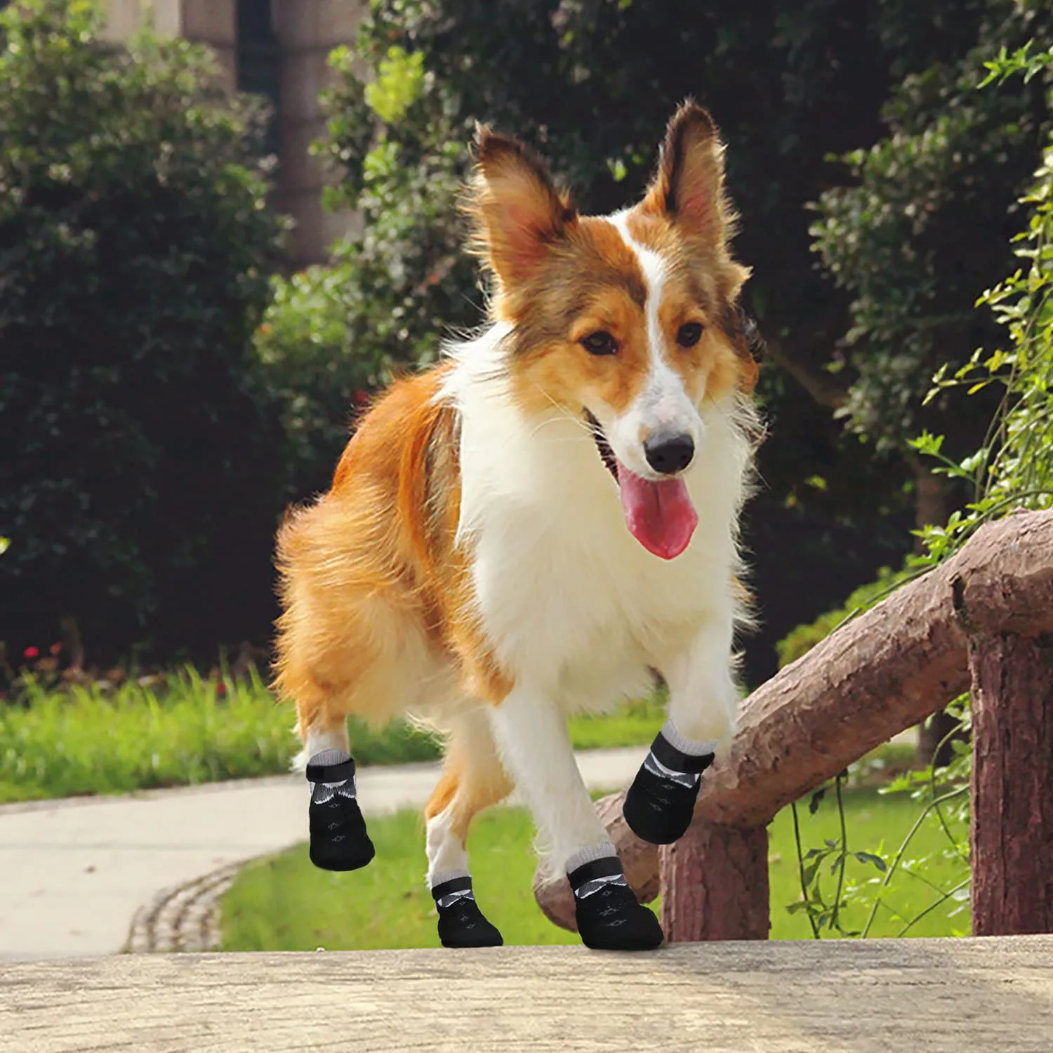 PETLOFT Calzini Antiscivolo per Cane con Cinghie Regolabili, Nero, L - immagine 6