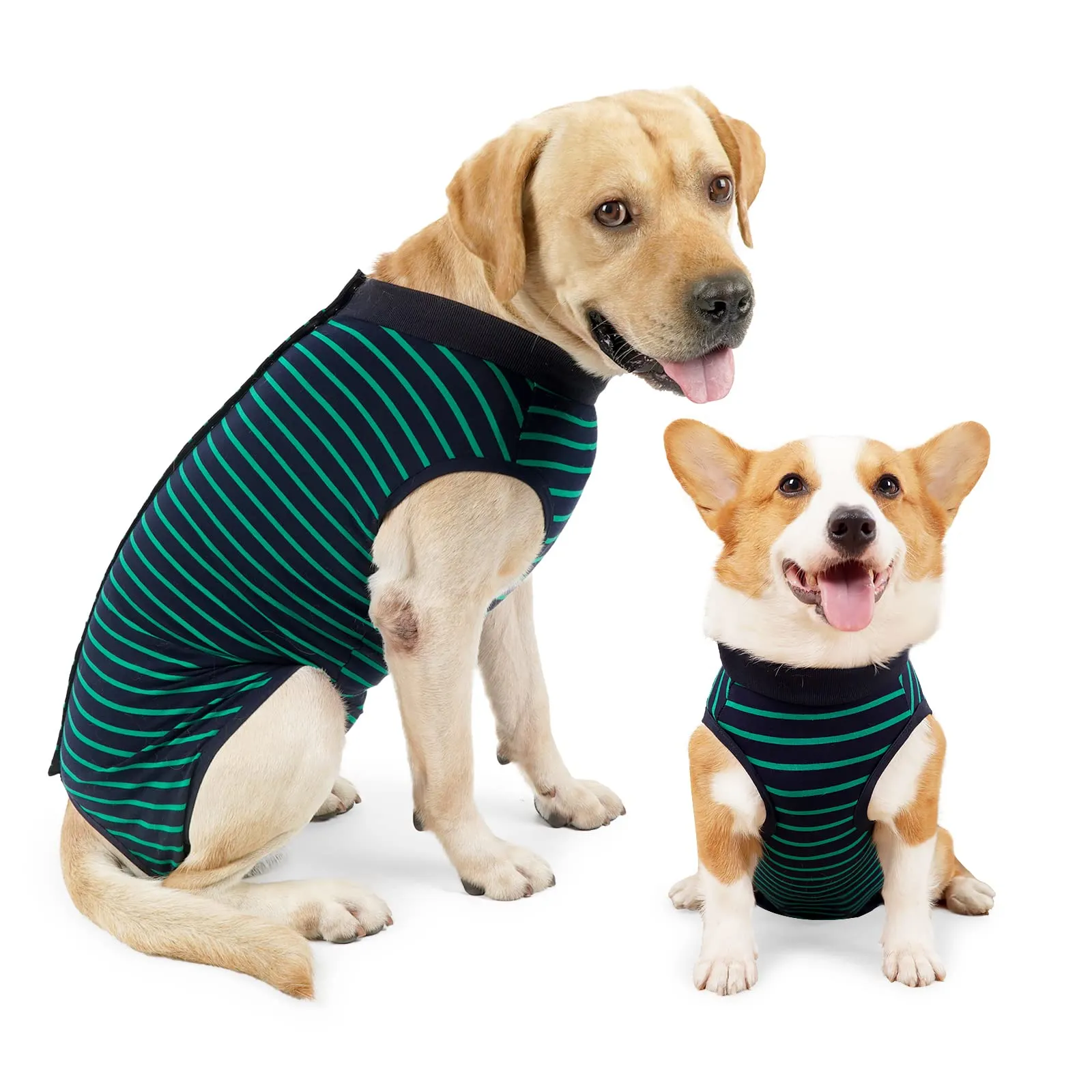 LIANZIMAU Tuta Recupero Post-Operatoria per Cani, Protezione Ferite Addominali e Pelle, Alternativa a Cono e Colletto, Taglia Large, Strisce Verde - immagine 1