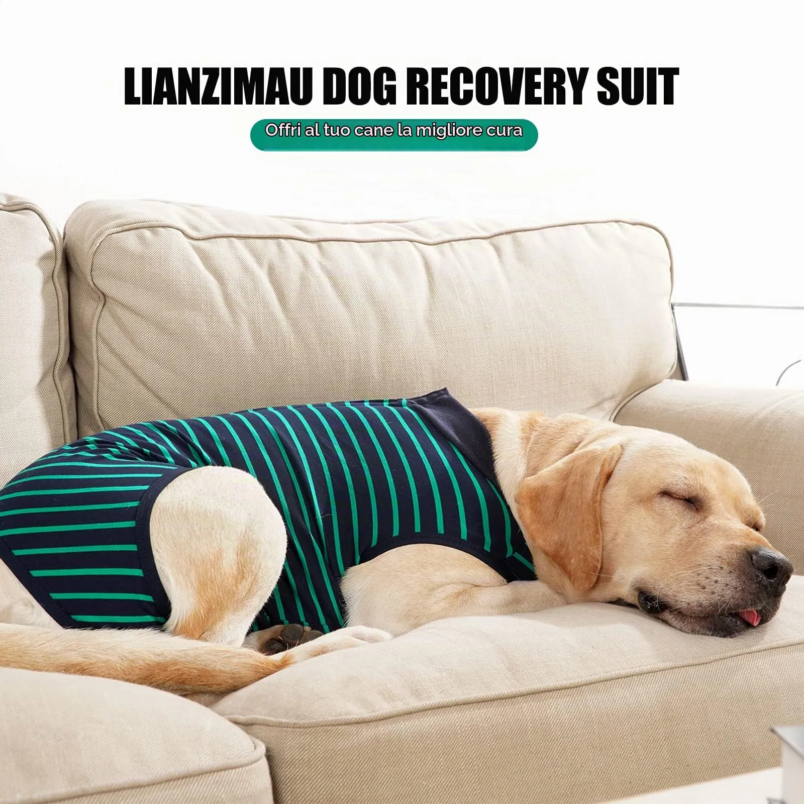 LIANZIMAU Tuta Recupero Post-Operatoria per Cani, Protezione Ferite Addominali e Pelle, Alternativa a Cono e Colletto, Taglia Large, Strisce Verde - immagine 6