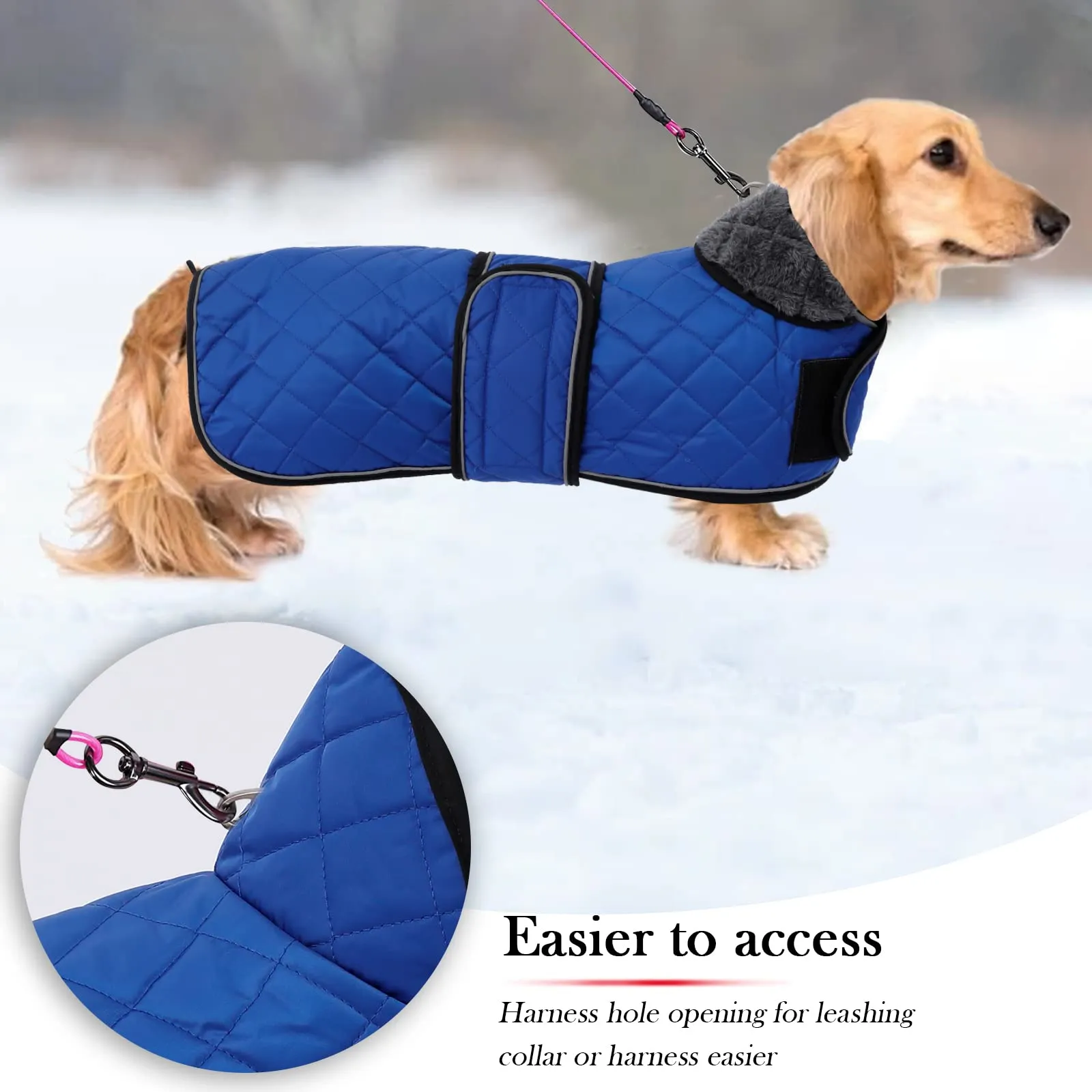Geyecete Cappotto Invernale Termico Trapuntato per Bassotti con Fodera in Pile e Foro per Imbracatura, Blu, XS - immagine 4
