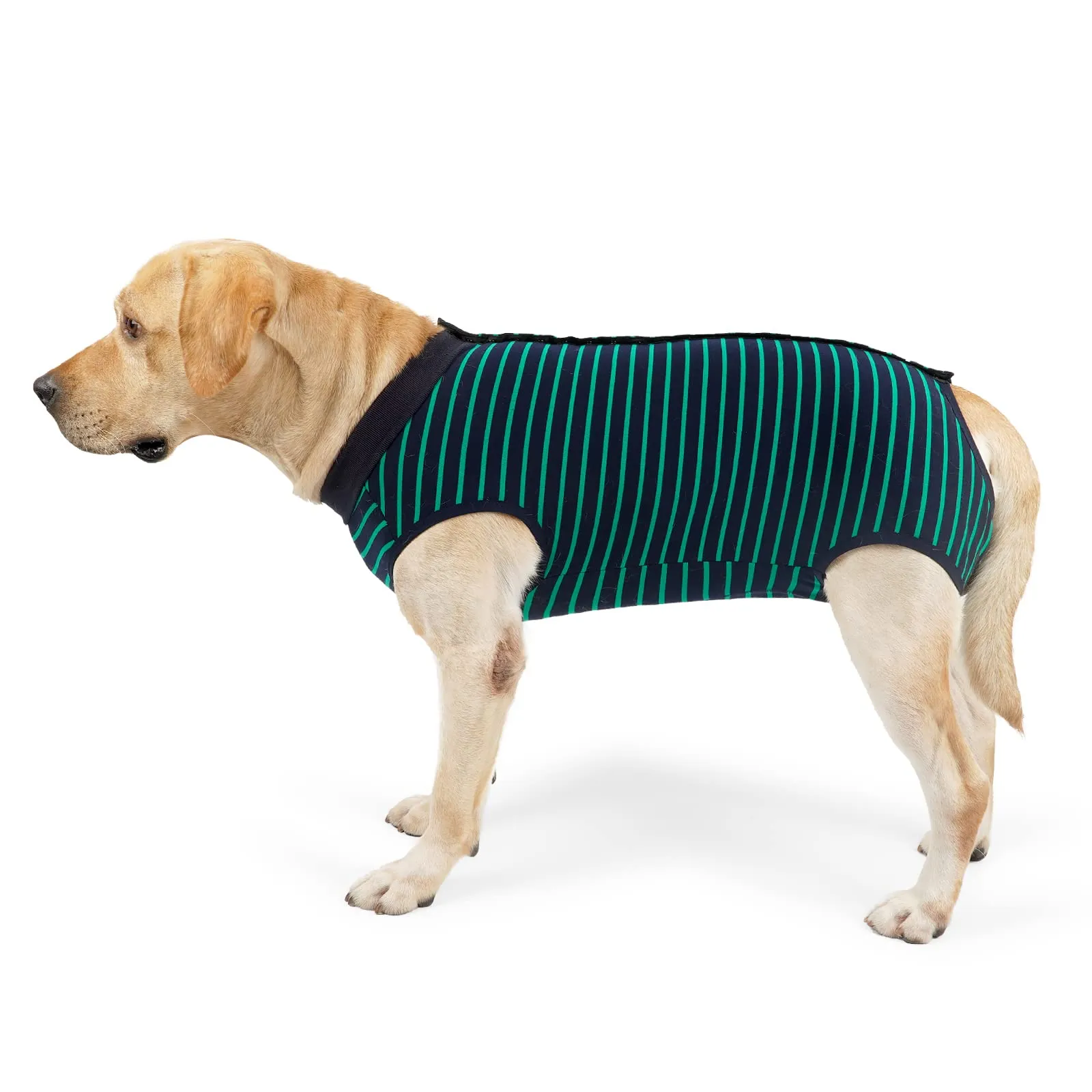 LIANZIMAU Tuta Recupero Post-Operatoria per Cani, Protezione Ferite Addominali e Alternativa a Cono e Colletto, Medium, a Righe Verde - immagine 3