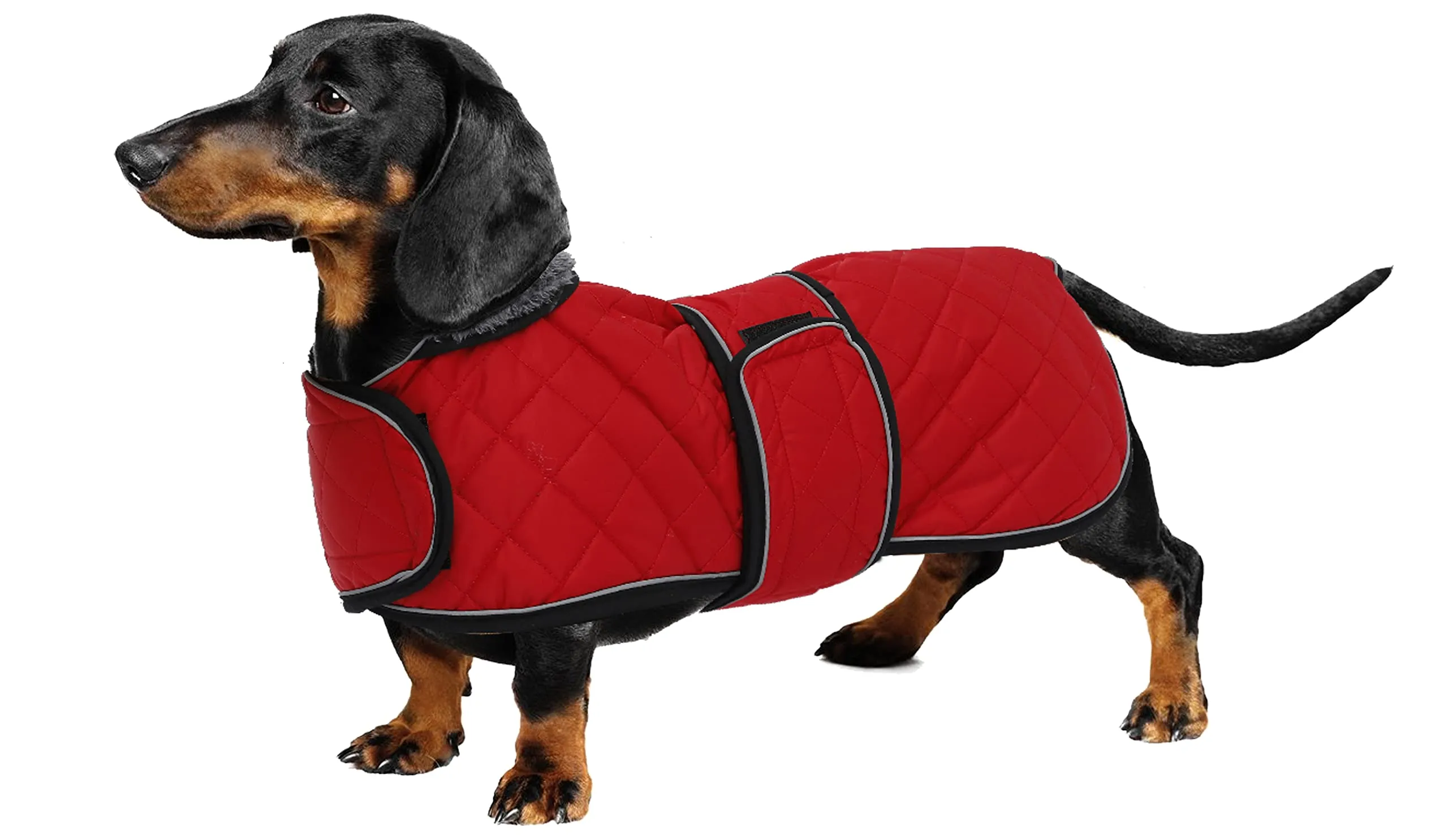 Geyecete Cappotto Invernale Termico Trapuntato per Cane Bassotto, Fodera in Pile, Foro per Imbracatura, Rosso, M - immagine 1
