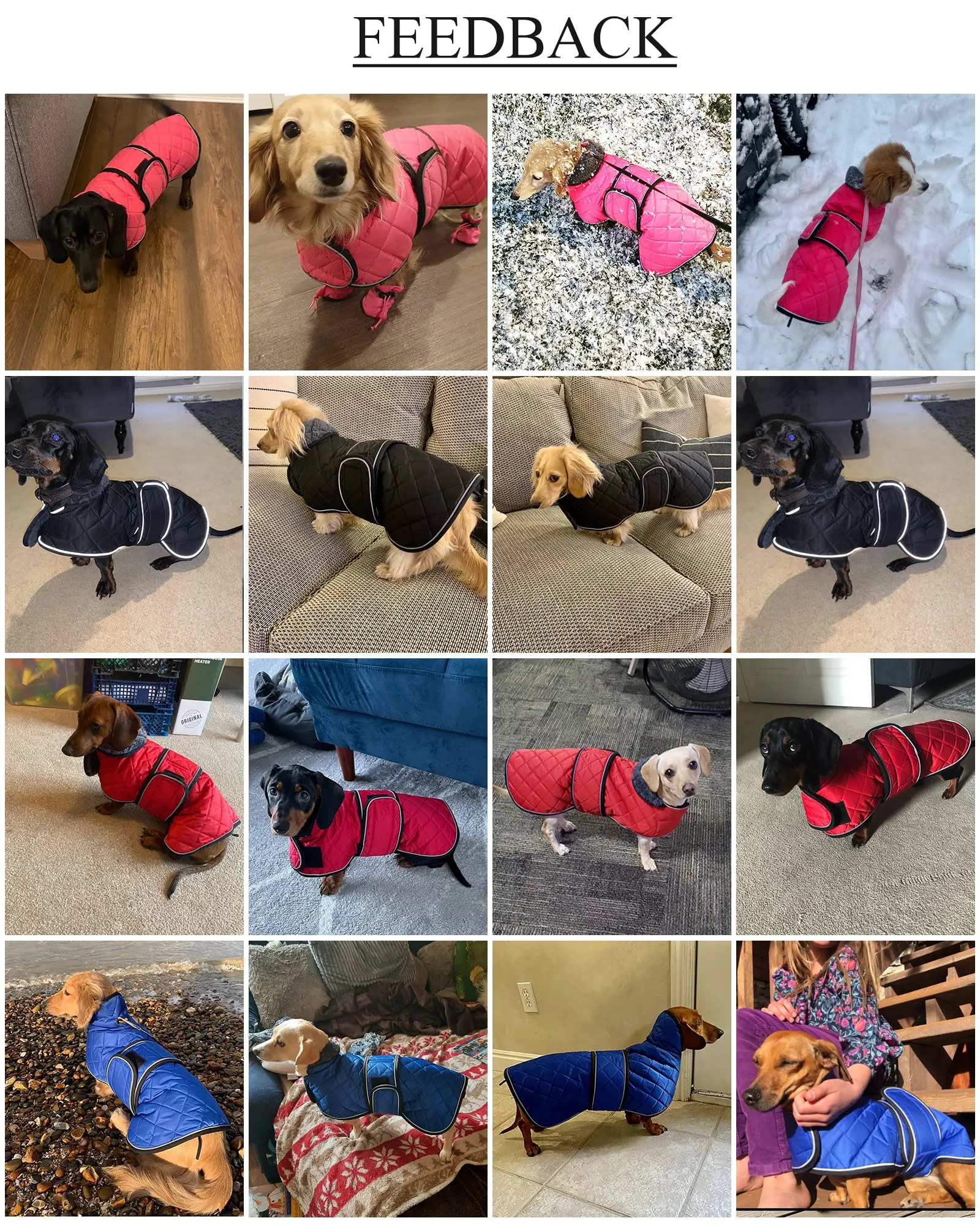 Geyecete Cappotto Invernale Termico Trapuntato per Cane Bassotto con Fodera in Pile, Nero, M - immagine 2
