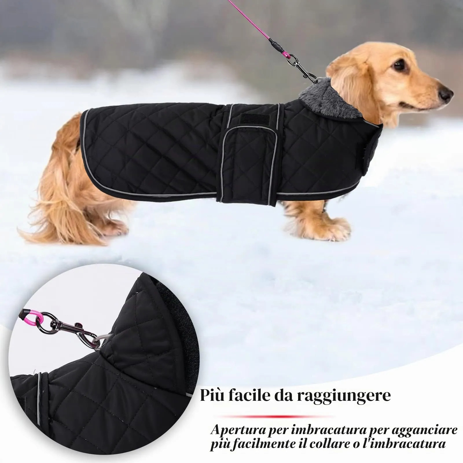 Geyecete Cappotto Invernale Termico Trapuntato per Cane Bassotto con Fodera in Pile, Nero, M - immagine 4