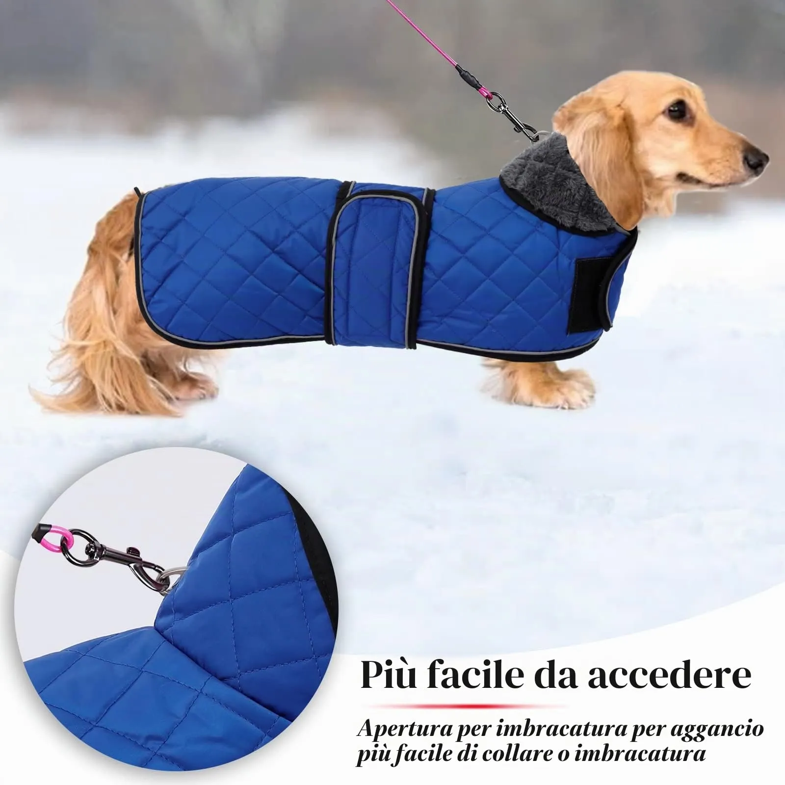 Geyecete Cappotto Invernale Termico Trapuntato per Cane Bassotto con Fodera in Pile e Foro per Imbracatura, Blu, M - immagine 4