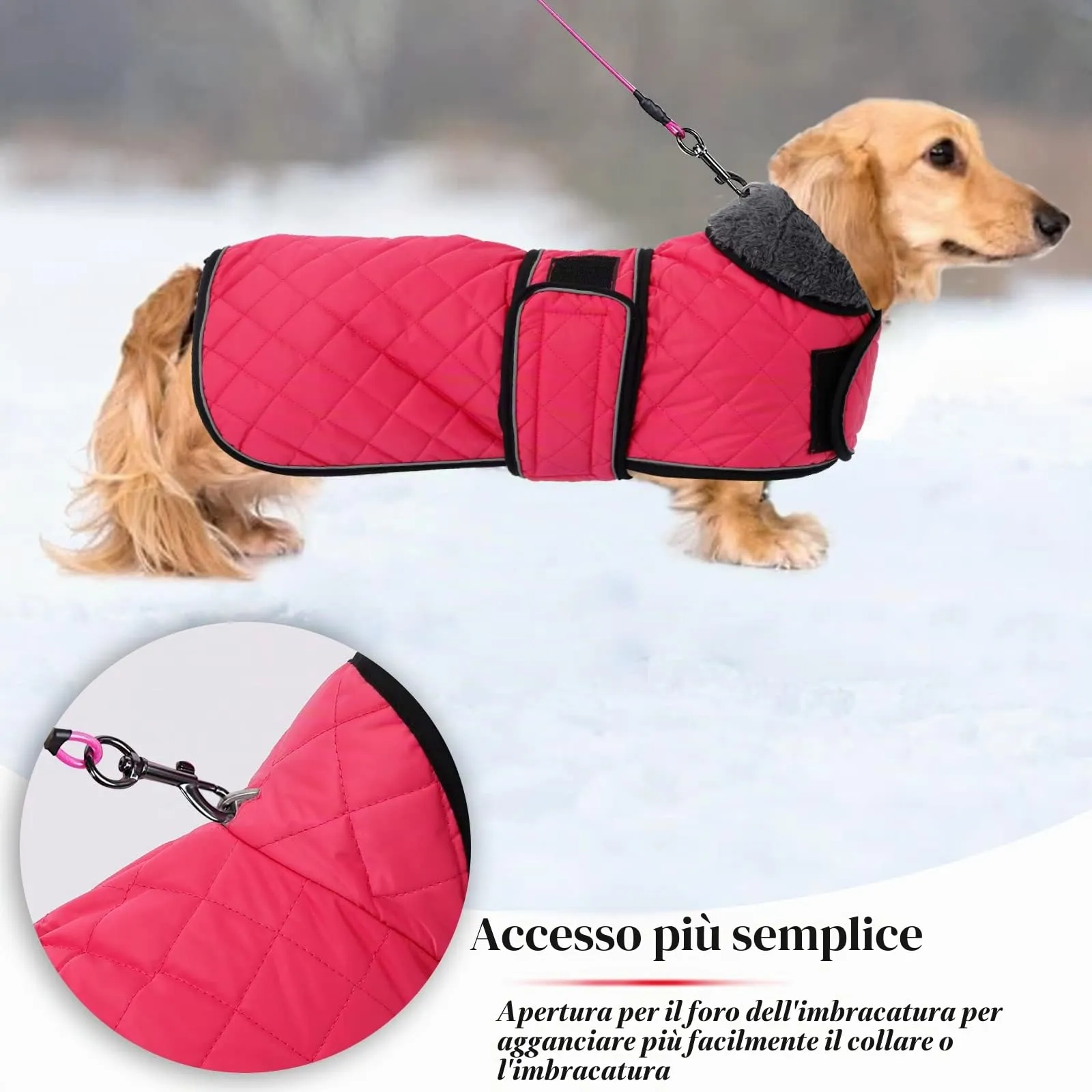 Geyecete Cappotto Invernale Termico Trapuntato per Cane Bassotto con Fodera in Pile e Foro per Imbracatura, Rosa, S - immagine 4