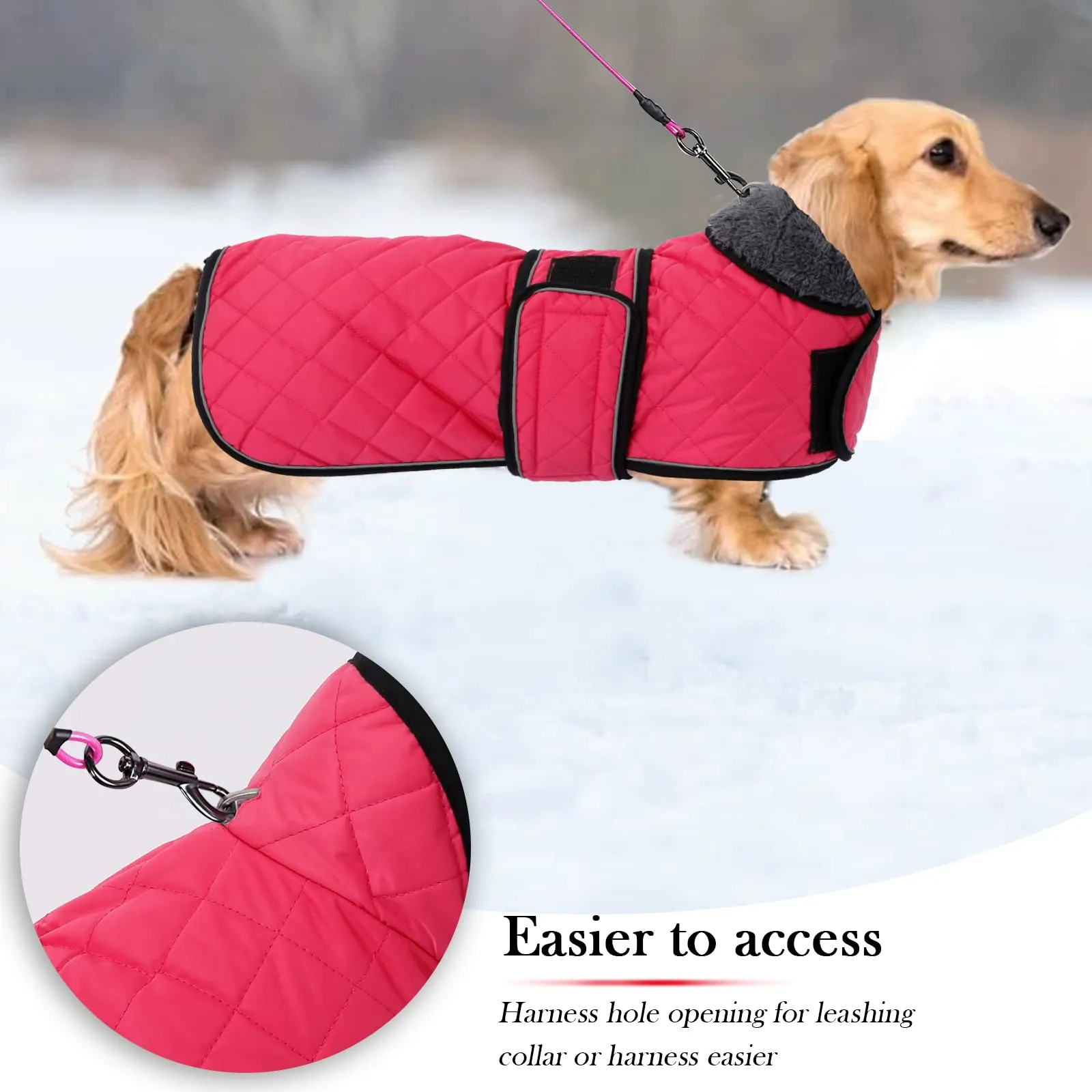 Geyecete Cappotto Invernale Termico Trapuntato per Cane Bassotto con Fodera in Pile, Rosa, M - immagine 4