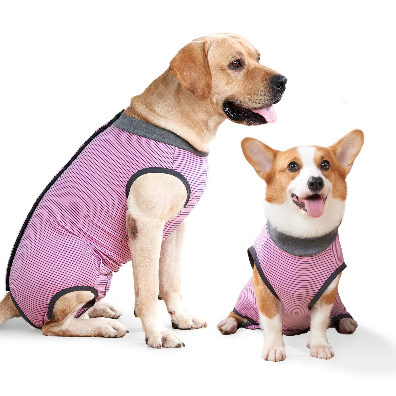 LIANZIMAU Tuta Recupero Post Operatorio per Cani, Protettore per Ferite Addominali, Alternativa a Cono e Colletto, Medium, Rosa T, a Righe - immagine 1