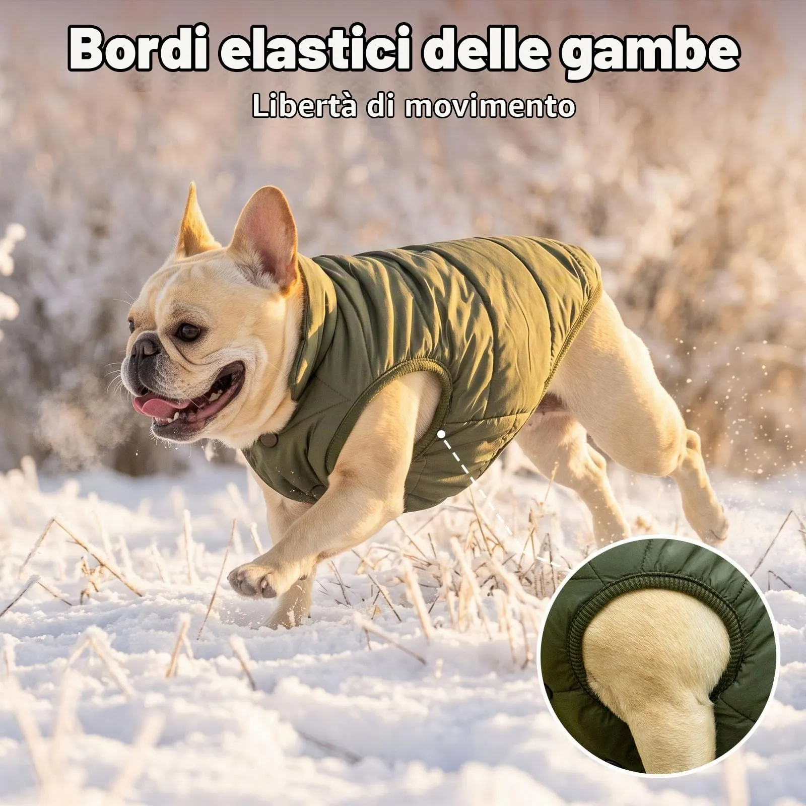 JoyDaog Cappottino per cani foderato in pile, antivento, verde, L - immagine 7