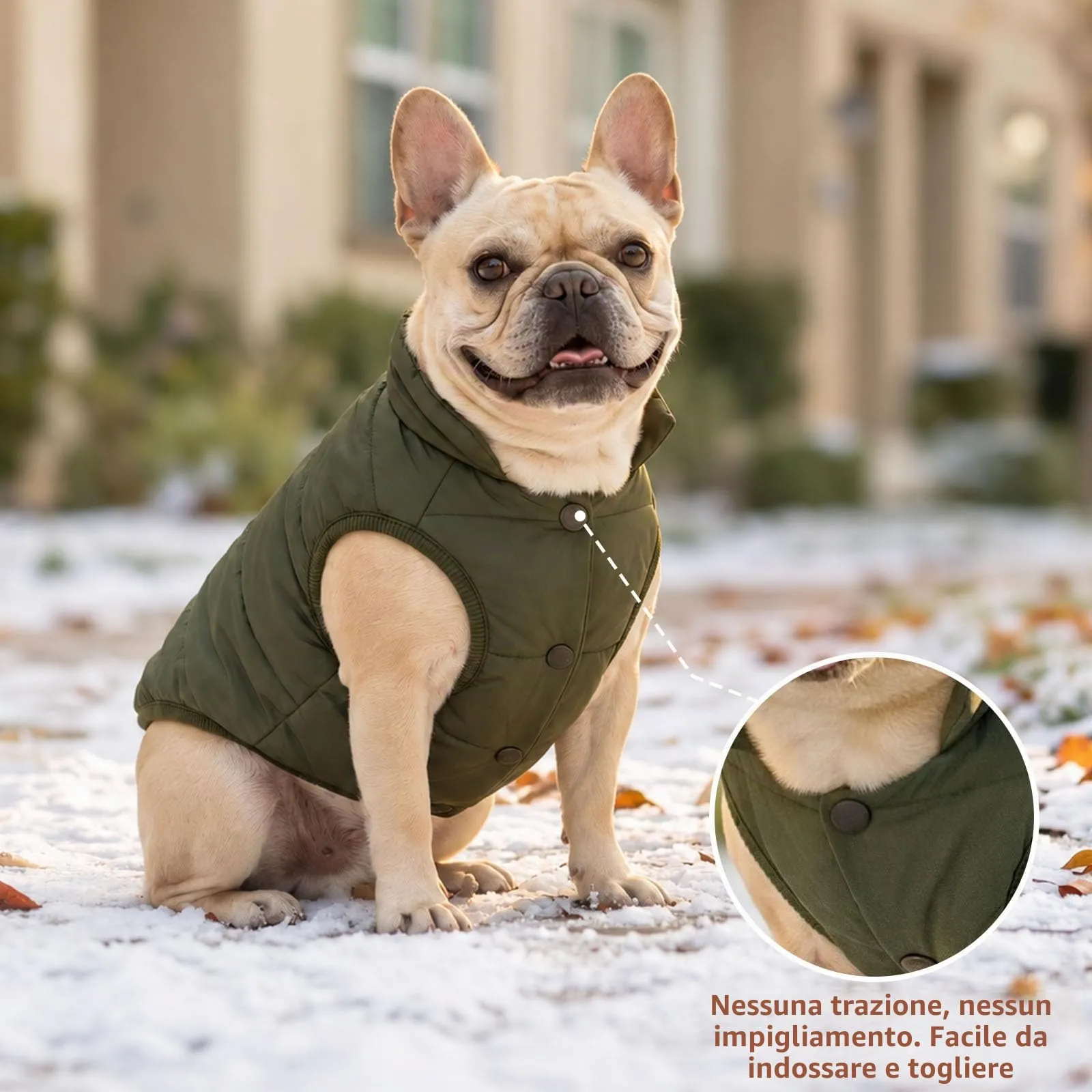 JoyDaog Cappottino per cani foderato in pile, antivento, verde, L - immagine 9