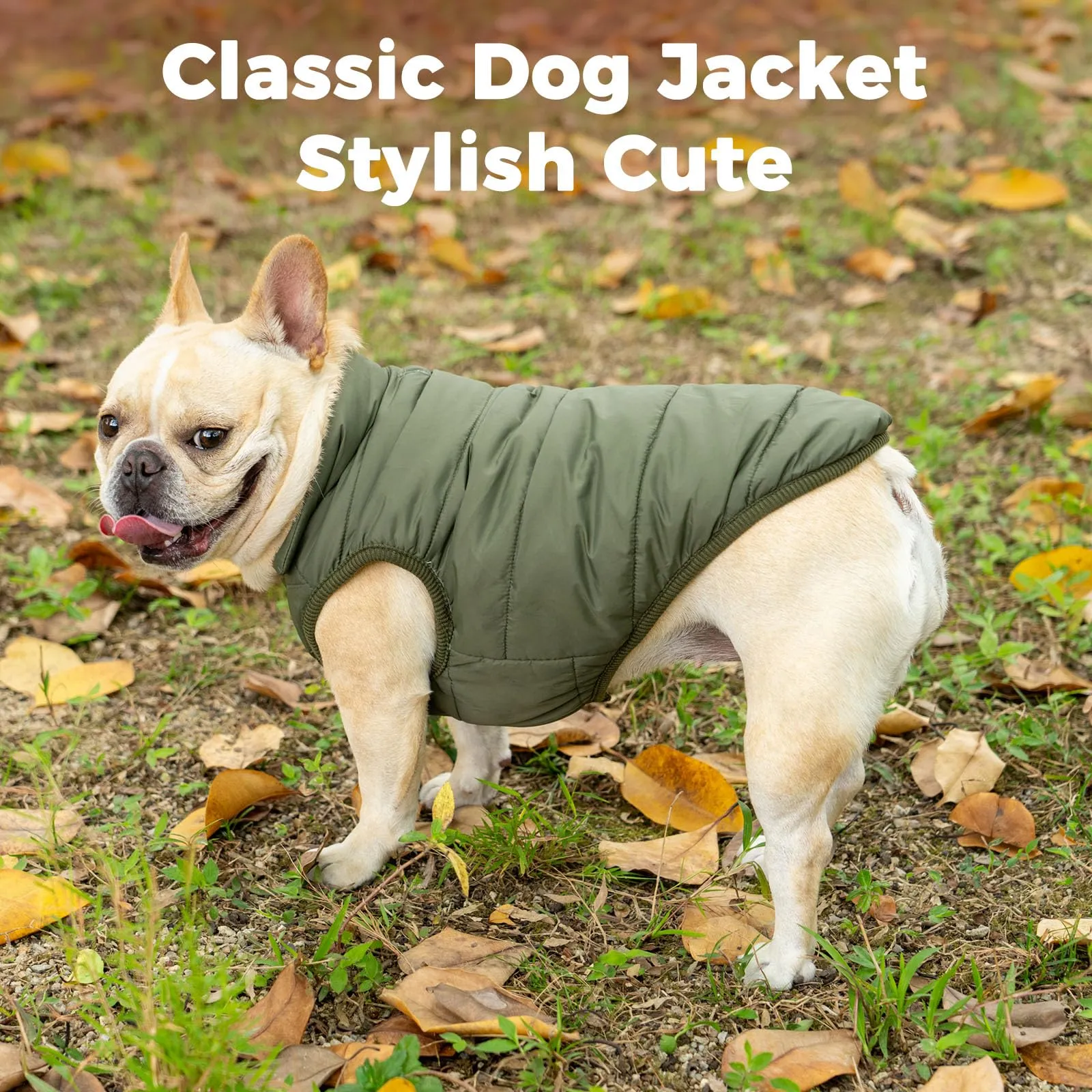 JoyDaog Cappottino per cani foderato in pile, antivento, verde, XXL - immagine 2