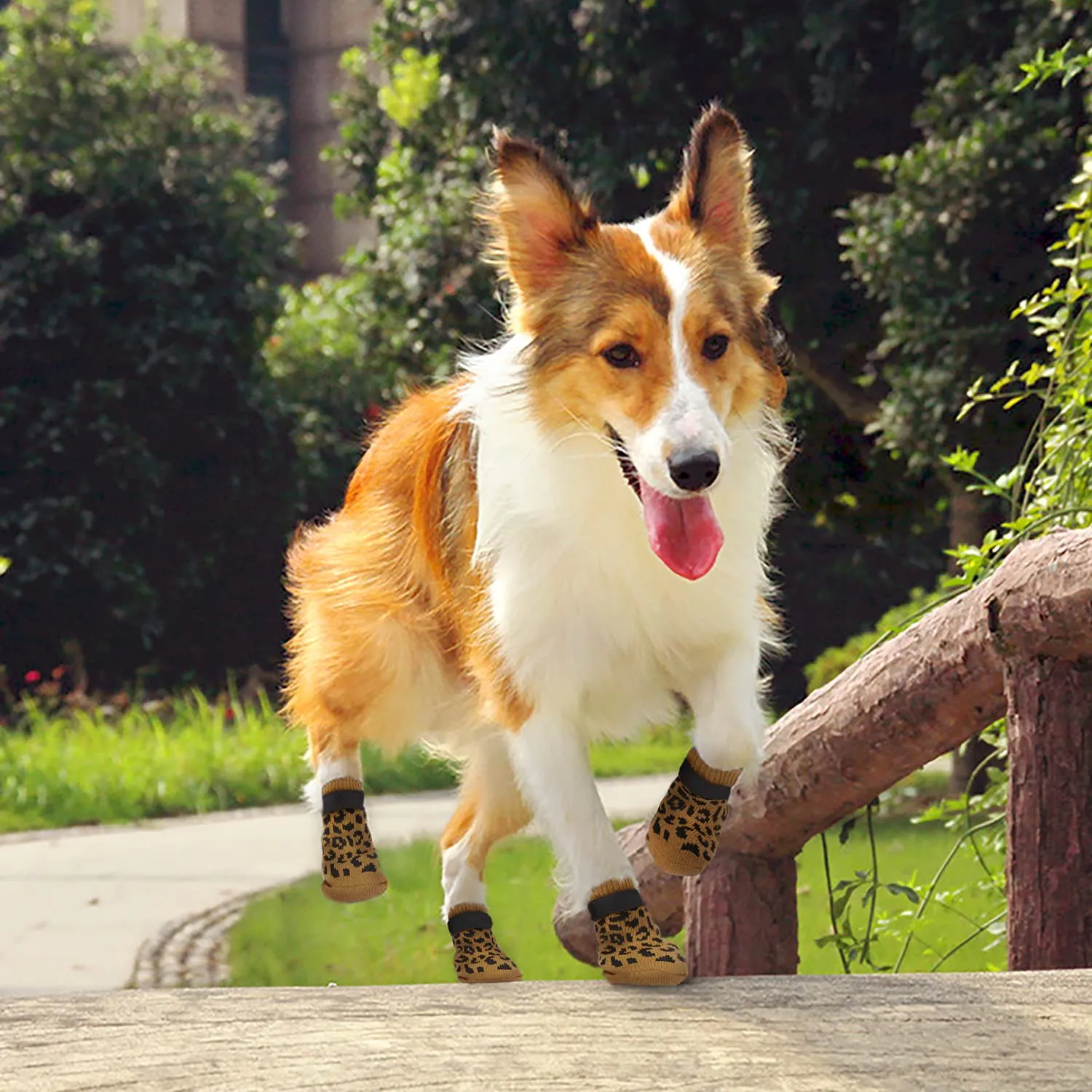PETLOFT Calzini Antiscivolo per Cane con Cinghie Regolabili, Cachi, L - immagine 6