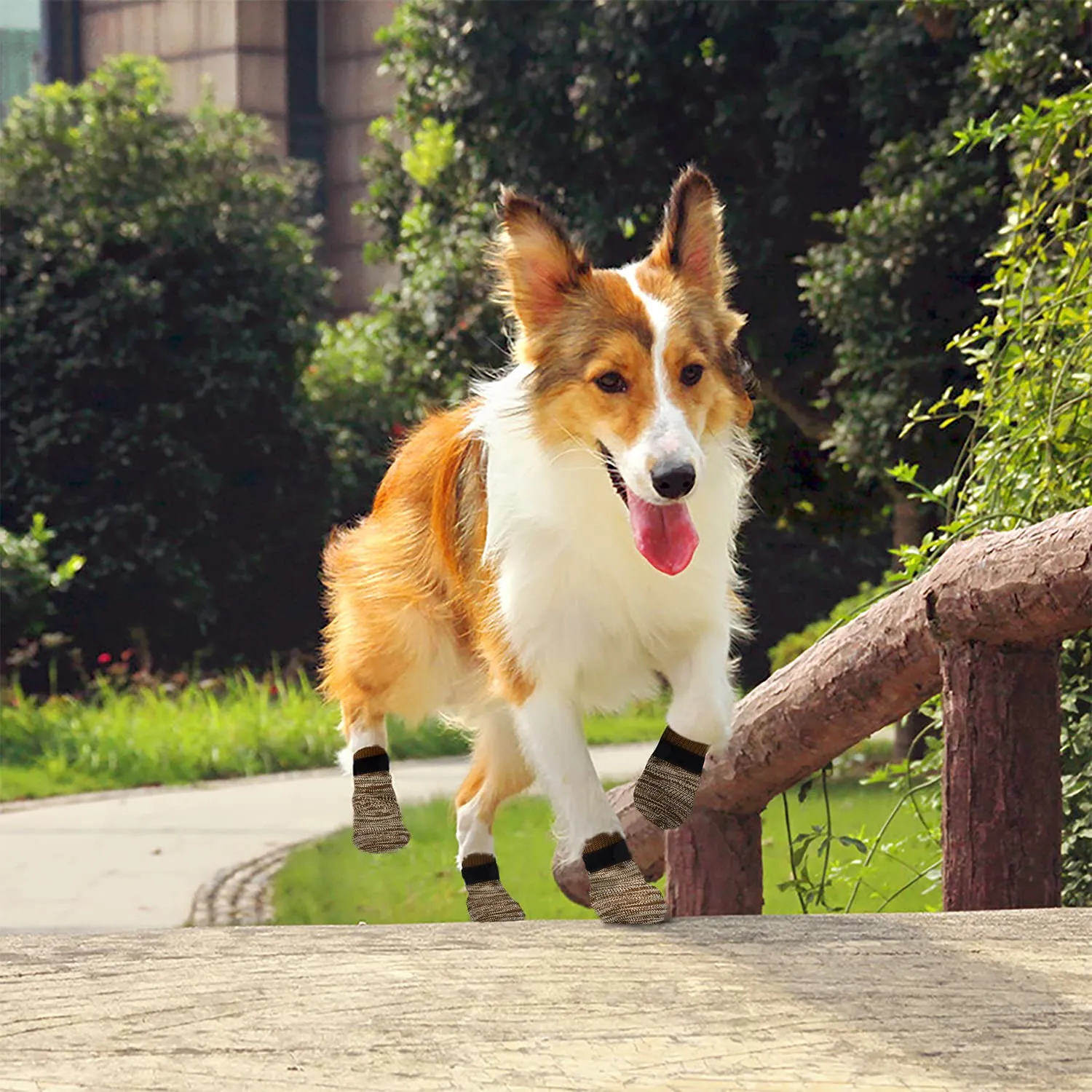 PETLOFT Calzini Antiscivolo per Cane con Cinghie Regolabili, 4 Pezzi (Marrone Chiaro, 3XL) - immagine 6