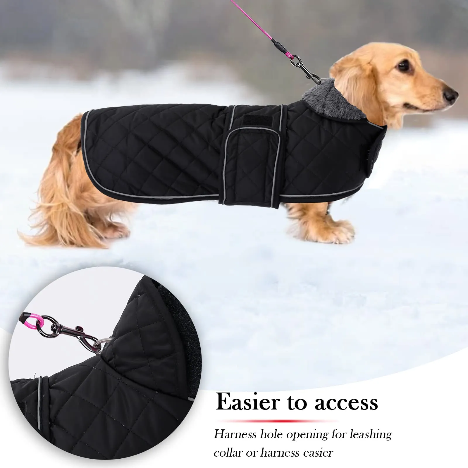 Geyecete Cappotto Invernale Termico Trapuntato per Cane Bassotto con Fodera in Pile e Foro per Imbracatura, Nero, S - immagine 4