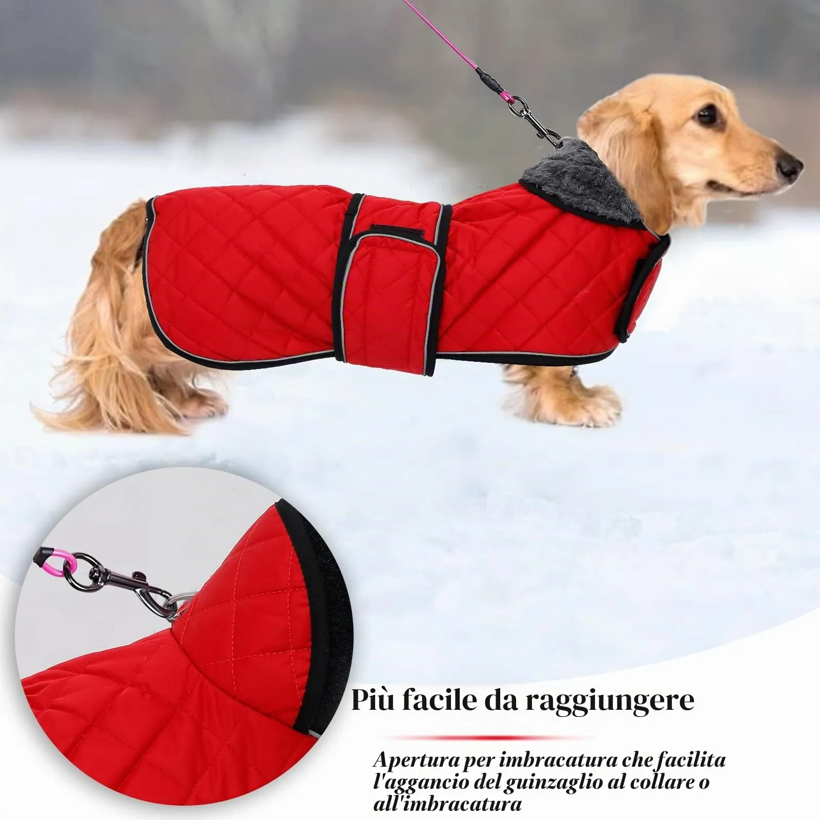 Geyecete Cappotto Invernale Termico Trapuntato per Cane Bassotto con Fodera in Pile e Foro per Imbracatura - Rosso - S - immagine 4