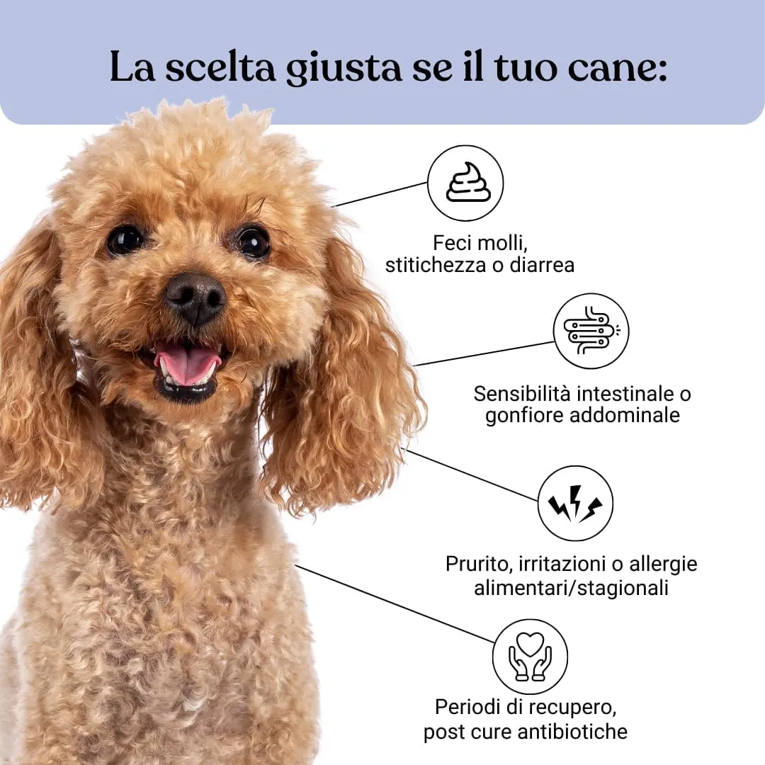 Bau Probiotici per Cani, Fermenti Lattici e Supporto Gastrointestinale (60 vecchio design) - immagine 3