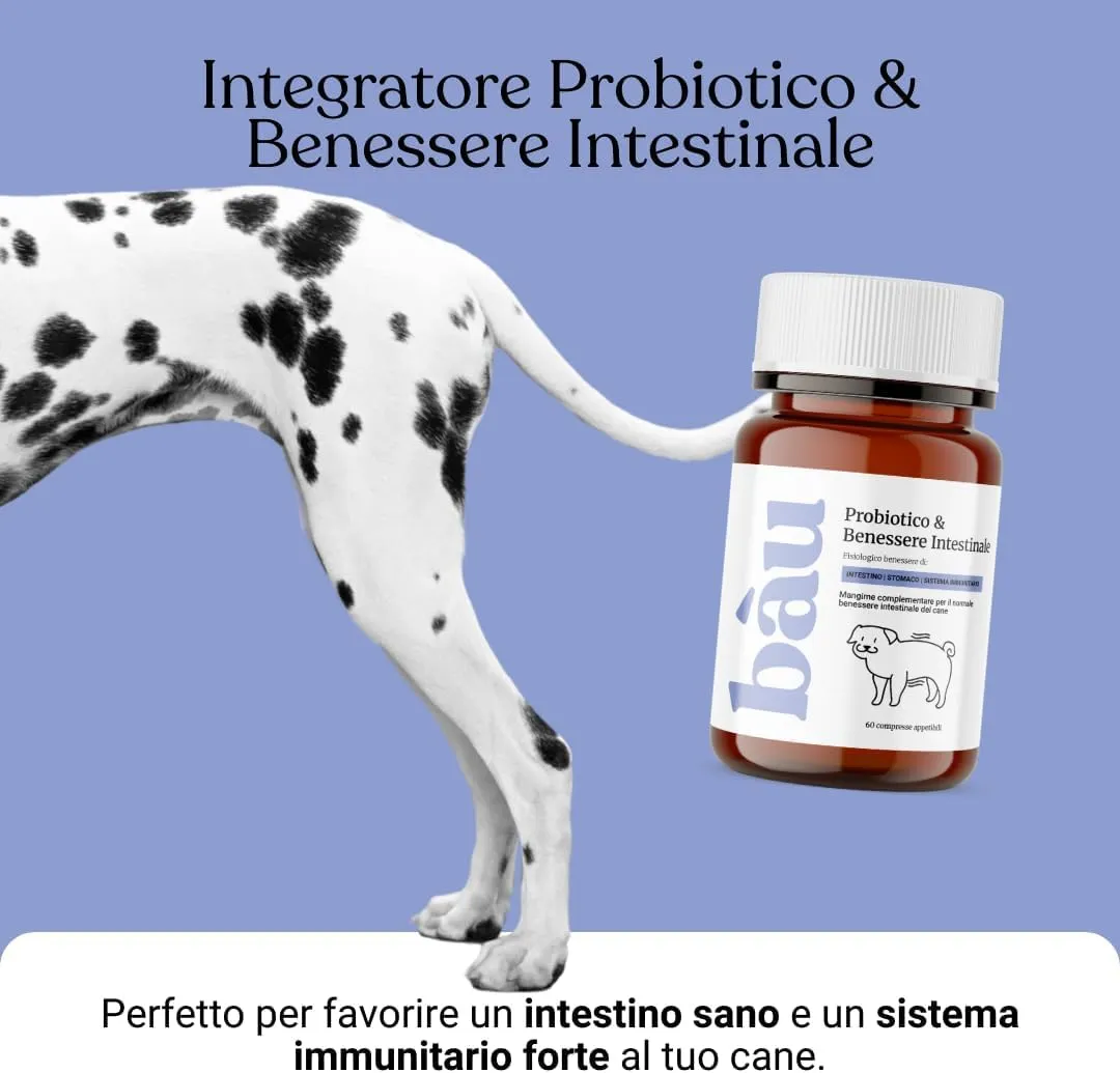 Bau Probiotici per Cani, Fermenti Lattici e Supporto Gastrointestinale (60 vecchio design) - immagine 5