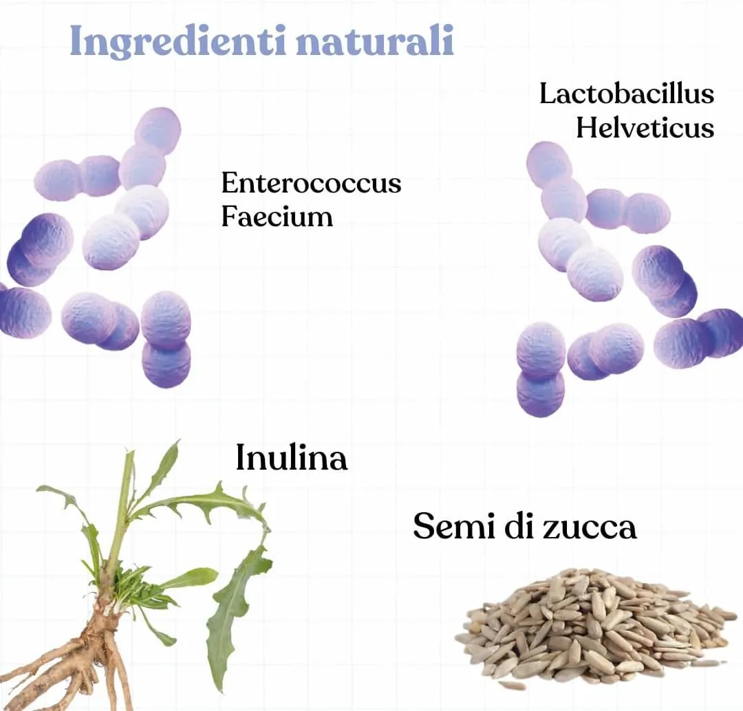 Bau Probiotici per Cani, Fermenti Lattici e Supporto Gastrointestinale (60 vecchio design) - immagine 6