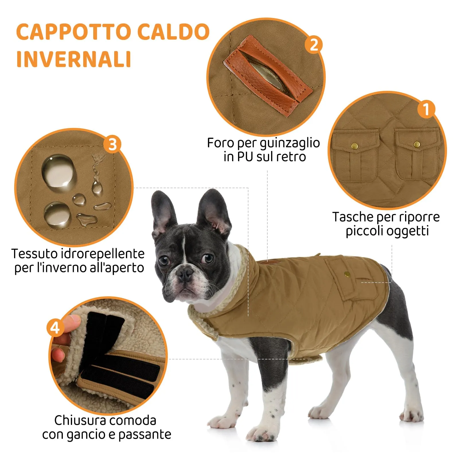 Queenmore Cappotto Impermeabile Caldo per Cani Piccoli, Marrone, Taglia XS - immagine 2