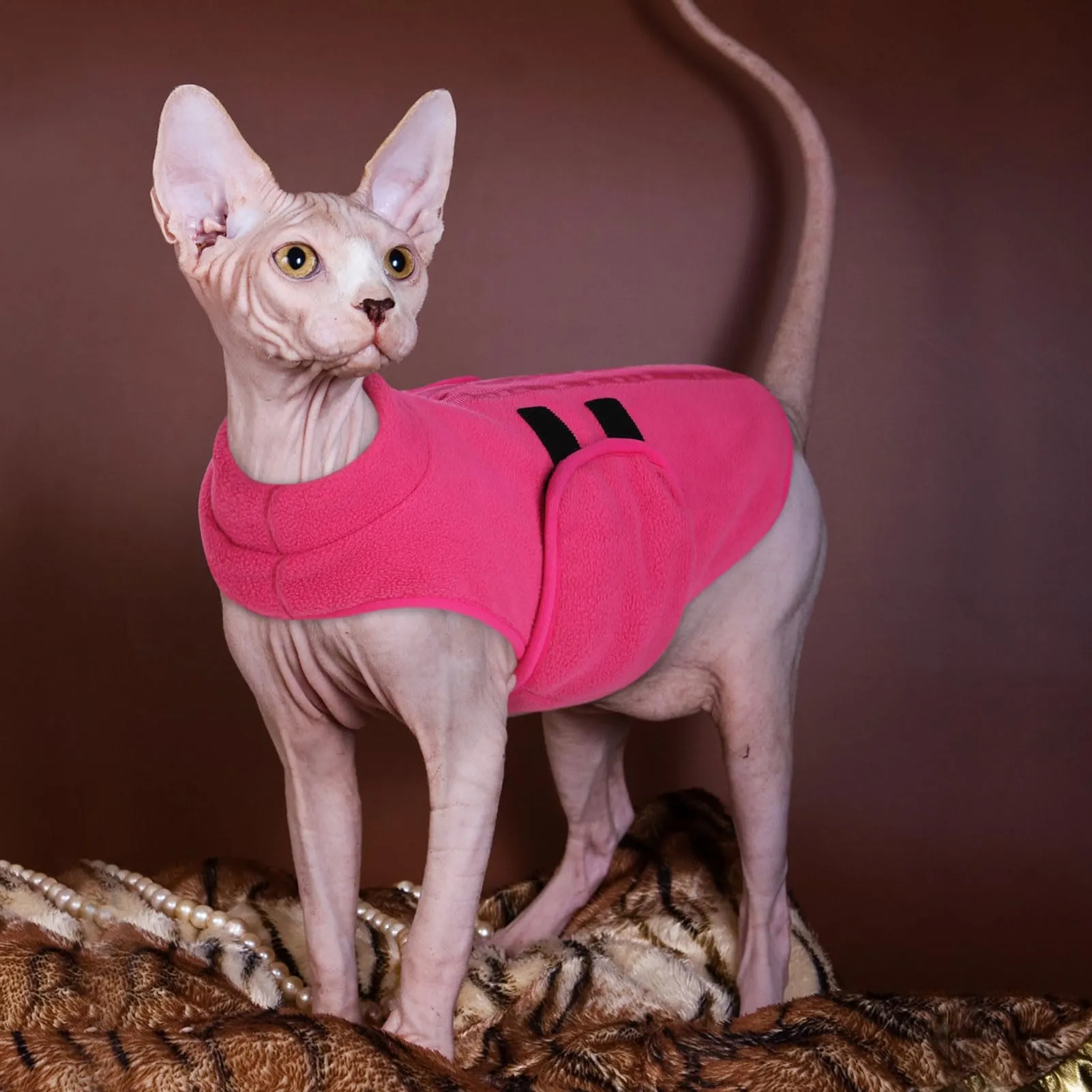 PUZAUKAL Maglione in Pile per Cani e Gatti con Foro per Imbracatura, Rosa, Taglia XS - immagine 5