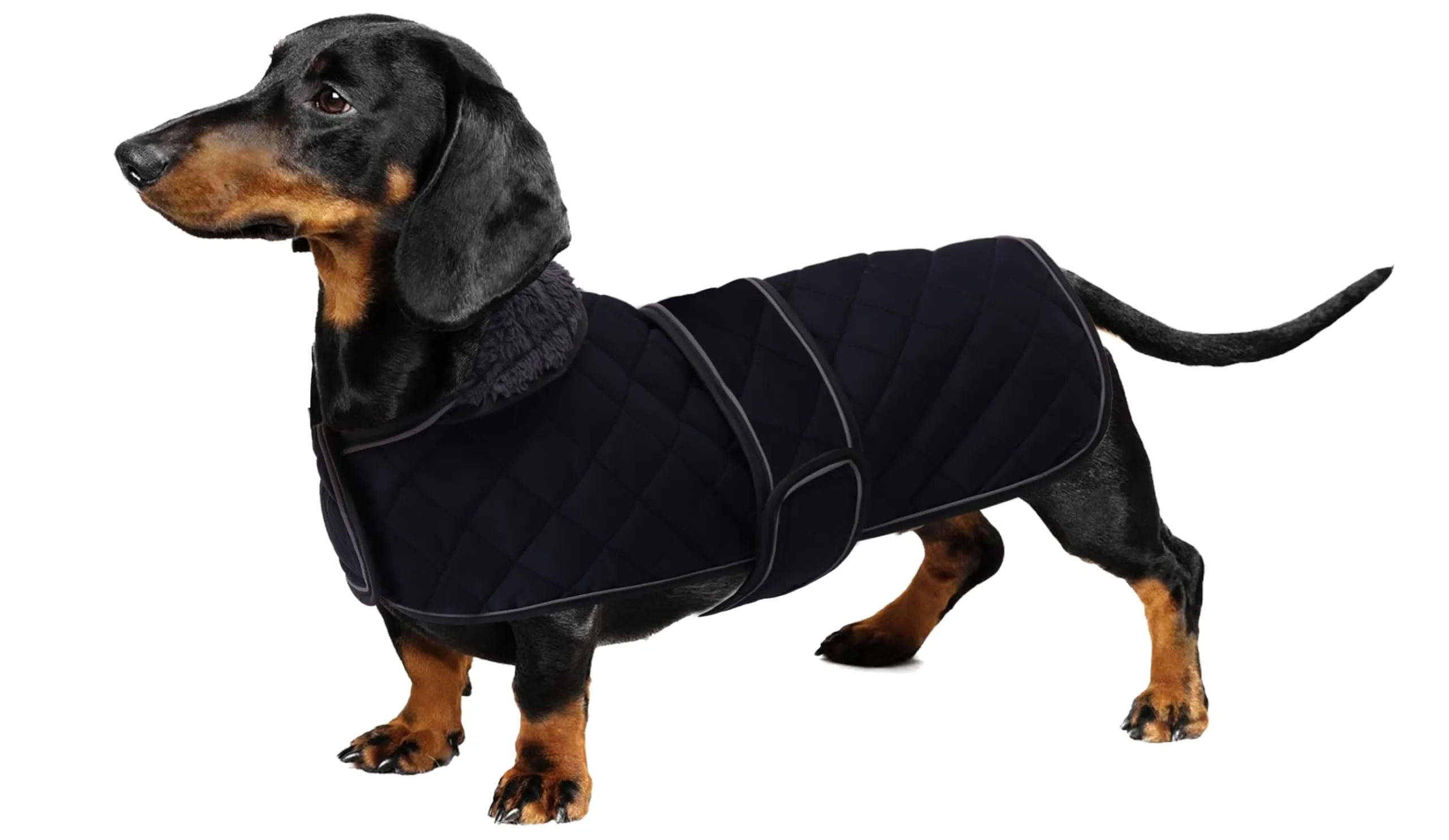 Geyecete Cappotto Invernale Termico Trapuntato per Bassotto, Navy Blu, XS - immagine 1