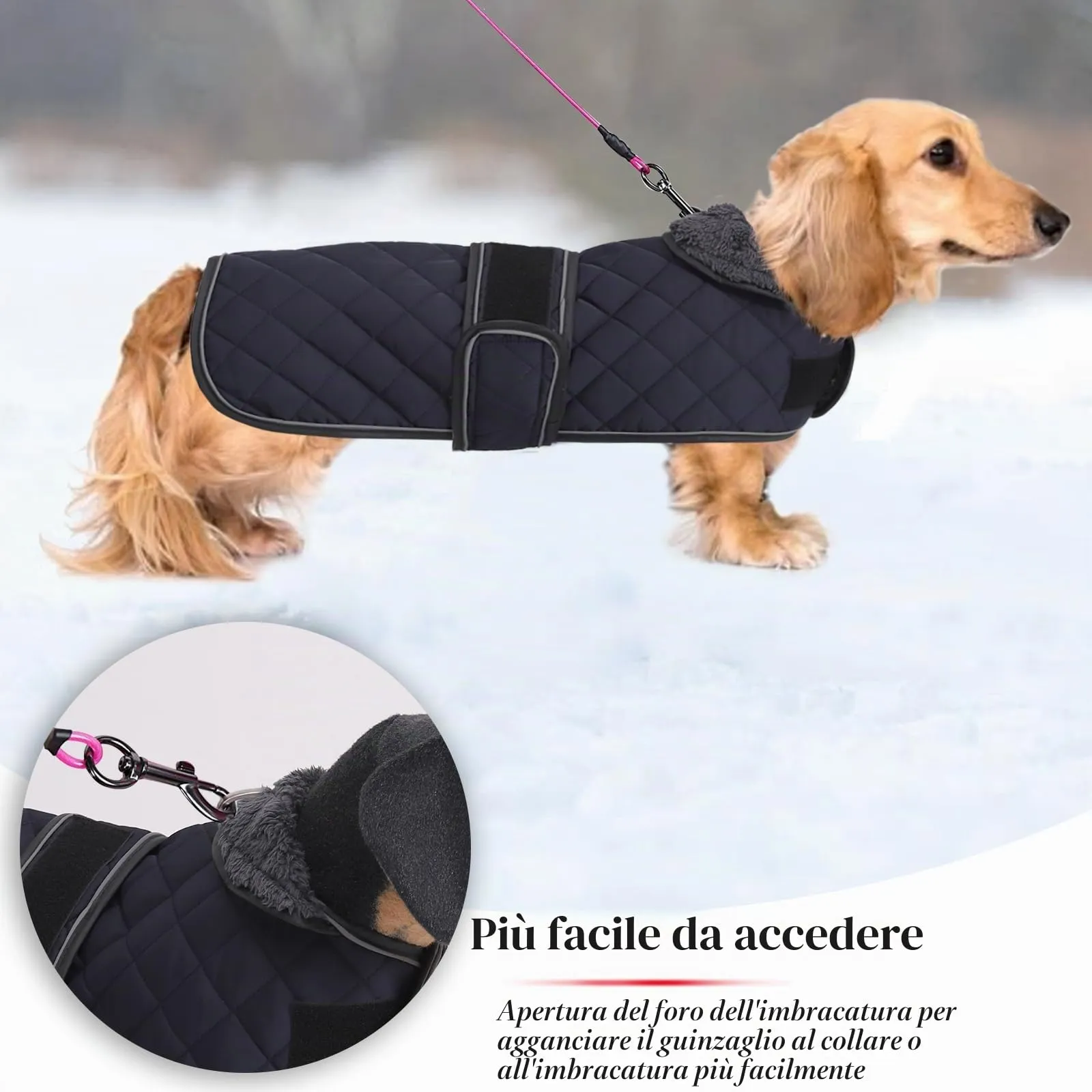 Geyecete Cappotto Invernale Termico Trapuntato per Cane Bassotto con Fodera in Pile e Foro per Imbracatura, Navy Blu, L - immagine 4
