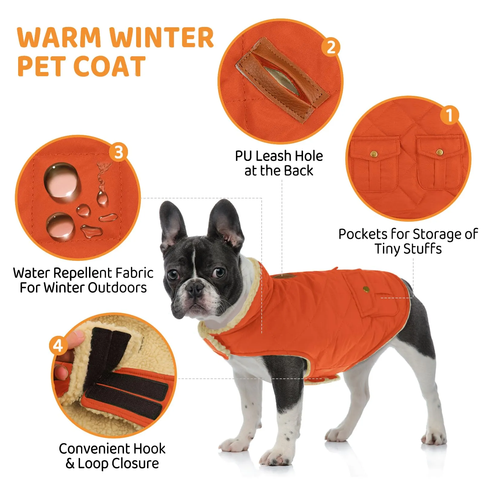 Queenmore Cappotto Caldo Impermeabile per Cane, Taglia XS, Lila - immagine 2