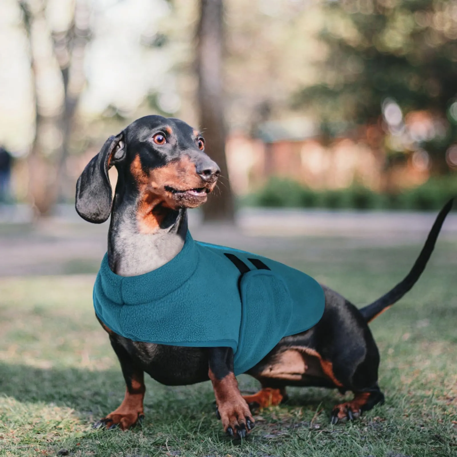 PUZAUKAL Maglione in pile per cani e gatti, invernale con foro per imbracatura, Blu marno, XL - immagine 5