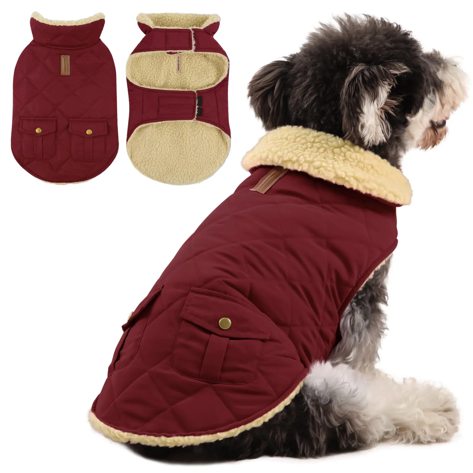 Queenmore Cappotto Cane Impermeabile Imbottito, Taglia XL, Borgogna - immagine 1