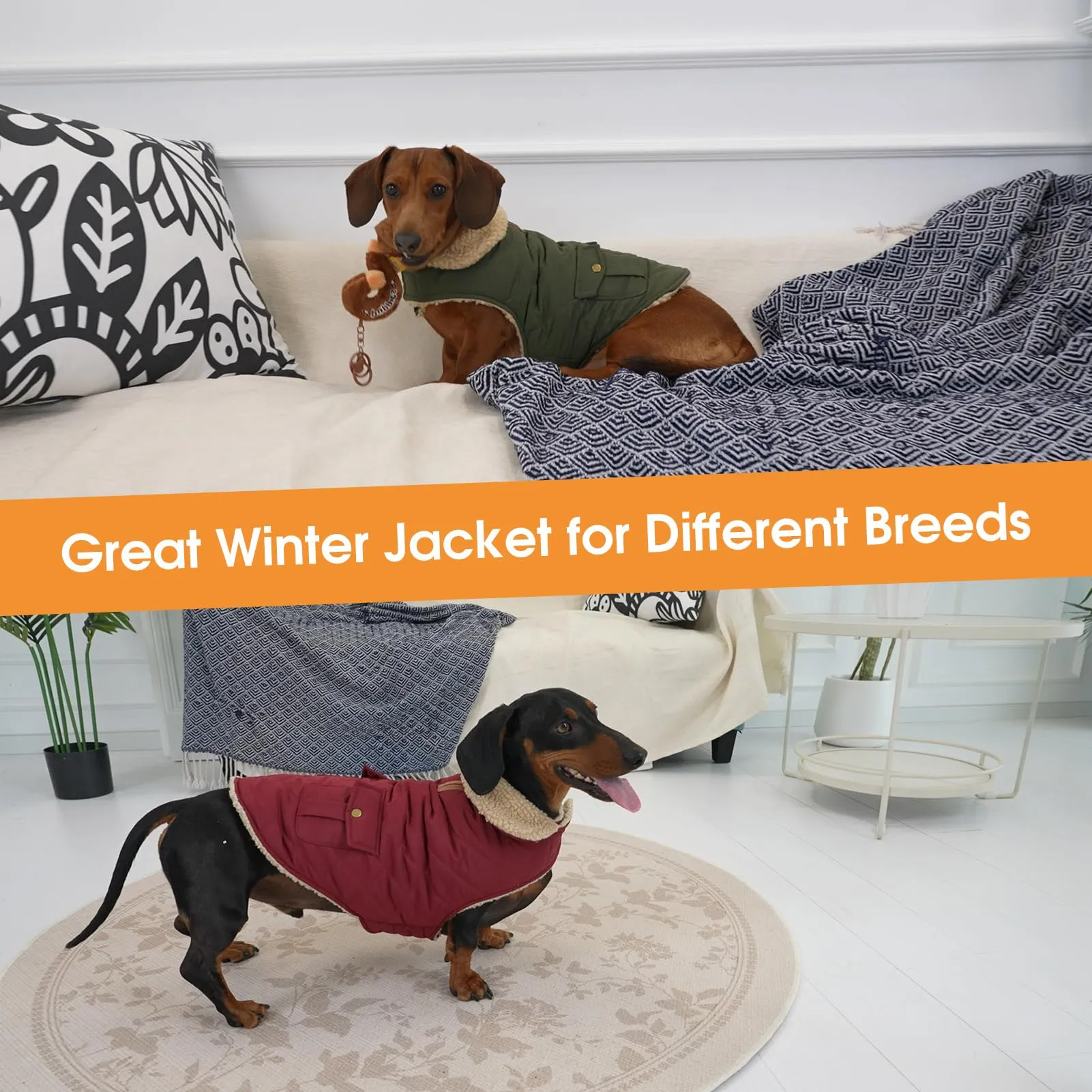 Queenmore Cappotto Cane Impermeabile Imbottito, Taglia XL, Borgogna - immagine 6