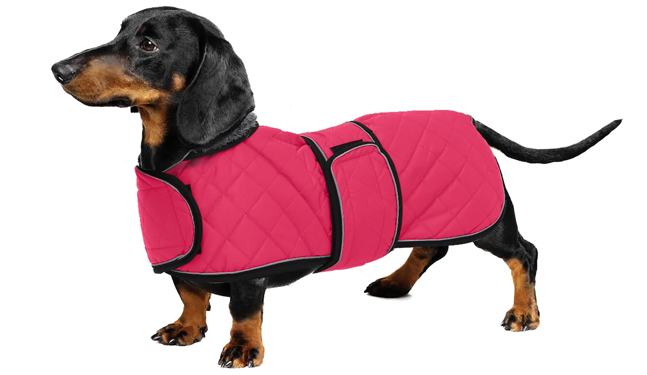 Geyecete Cappotto Invernale Termico Trapuntato per Cane Bassotto con Fodera in Pile, Rosa, L - immagine 1