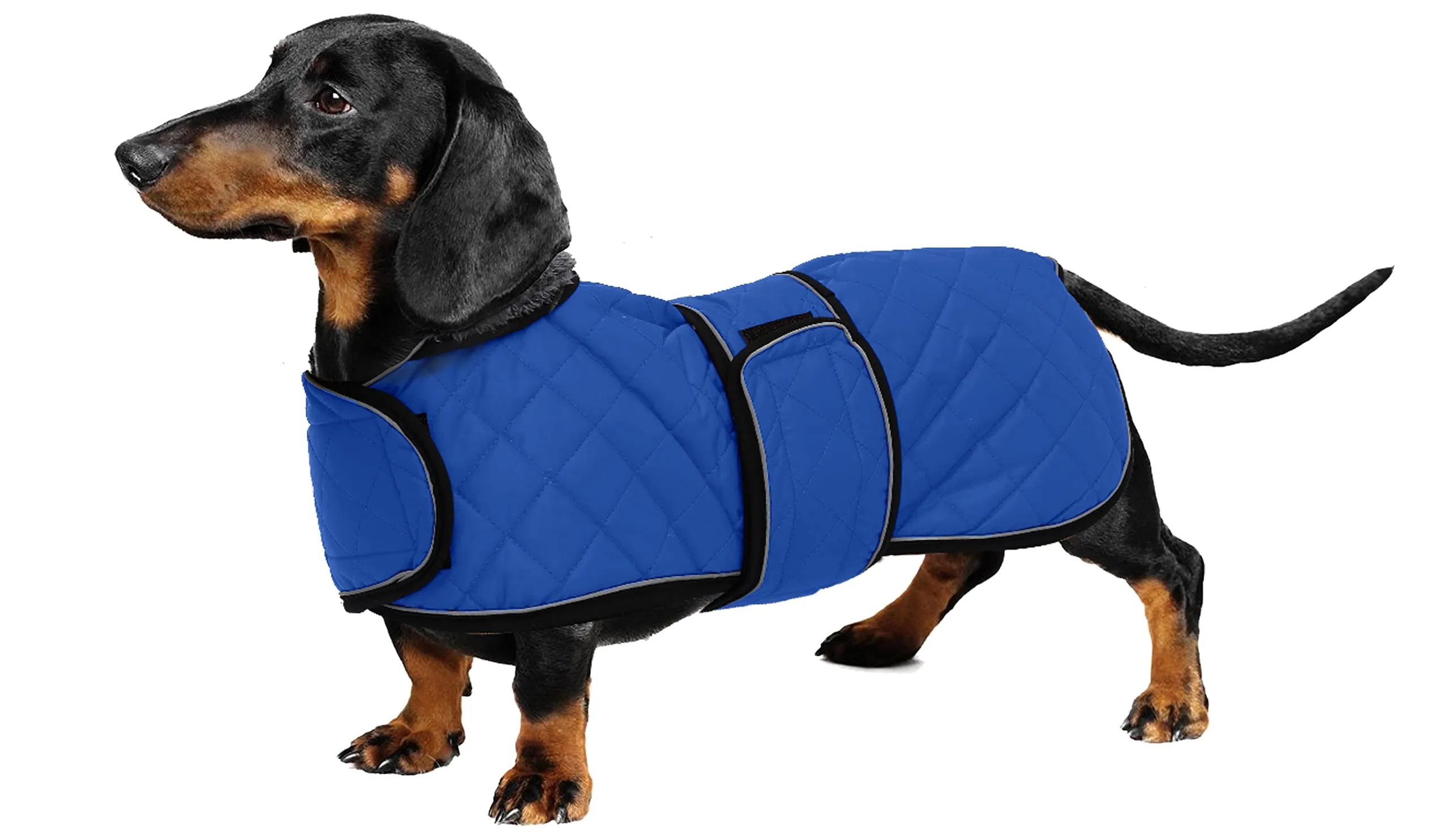Geyecete Cappotto Invernale Termico Trapuntato per Cane Bassotto con Fodera in Pile, Blu, L - immagine 1