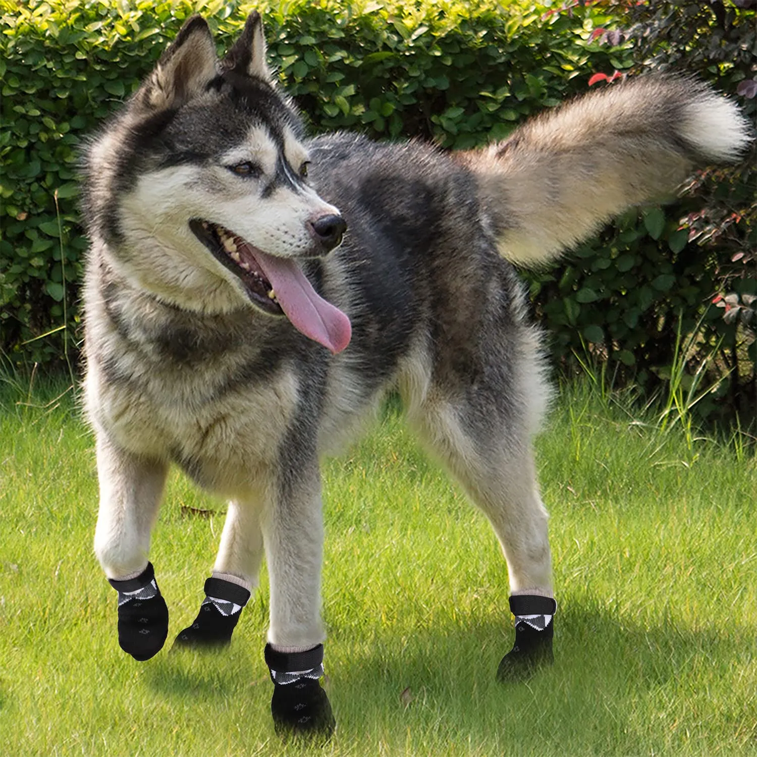 PETLOFT Calzini Antiscivolo per Cane con Cinghie Regolabili, 4 Pezzi, Nero, XL - immagine 7