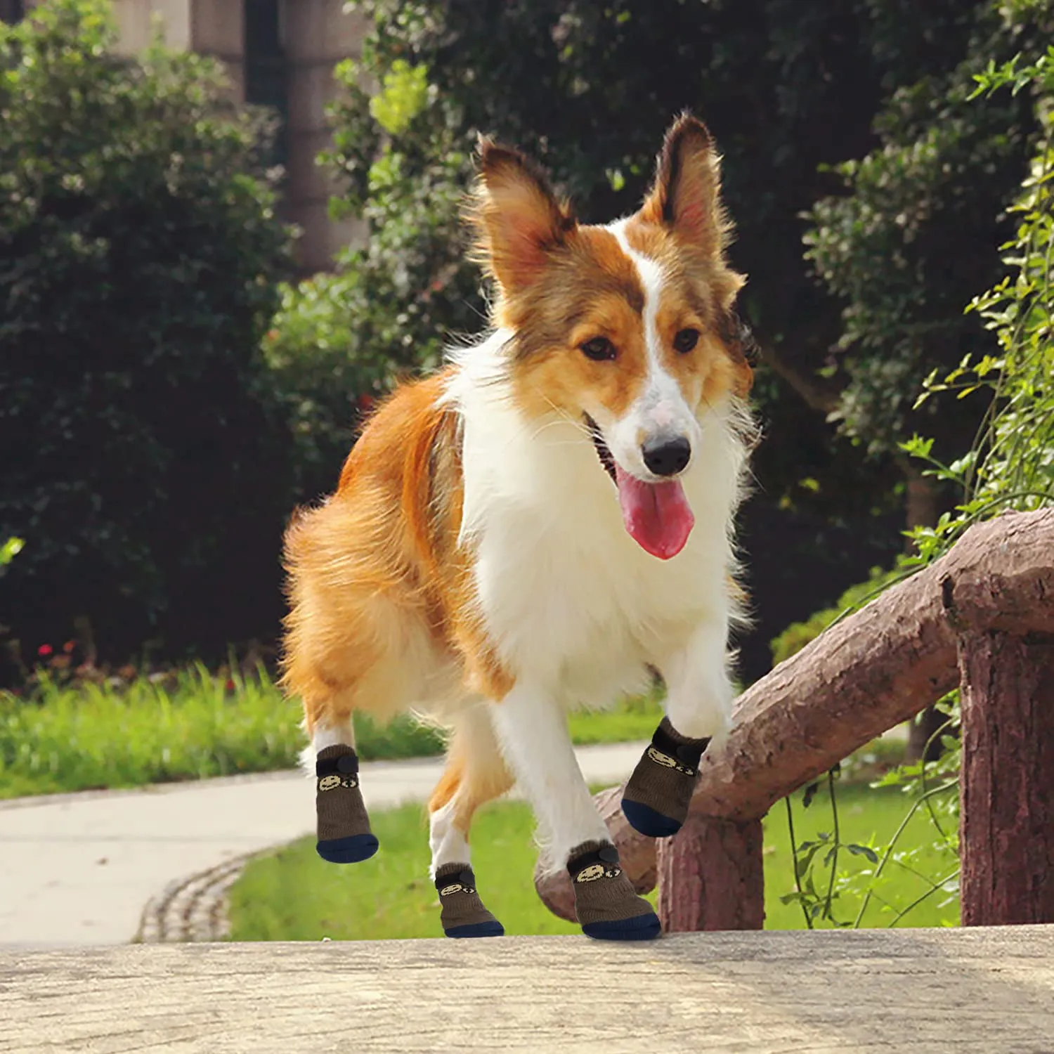 PETLOFT Calzini Antiscivolo per Cane con Cinghie Regolabili, 4 Pezzi (Marrone, 3XL) - immagine 6