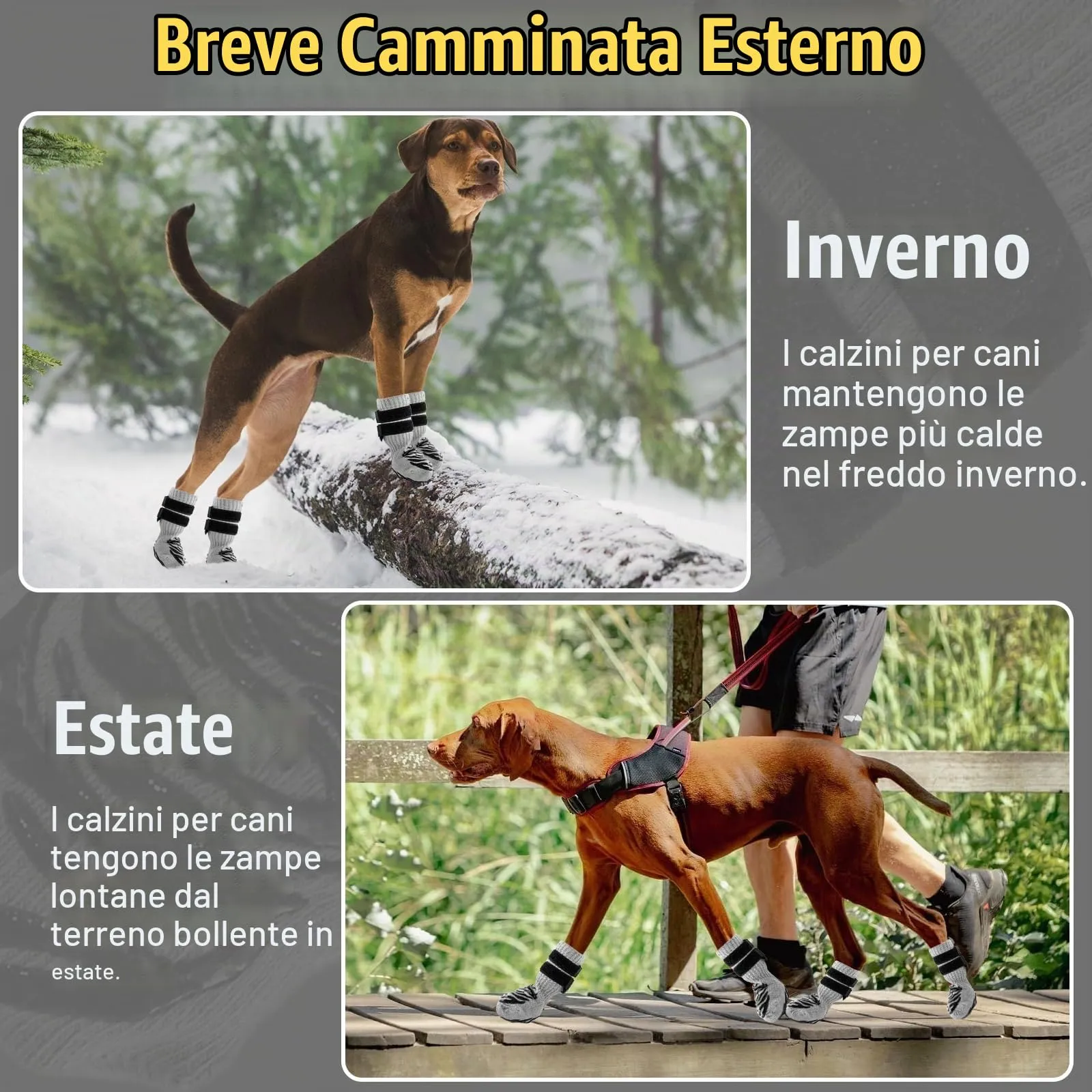 Hcpet Calzini Antiscivolo per Cani, 2 Paia, Taglia S - immagine 3