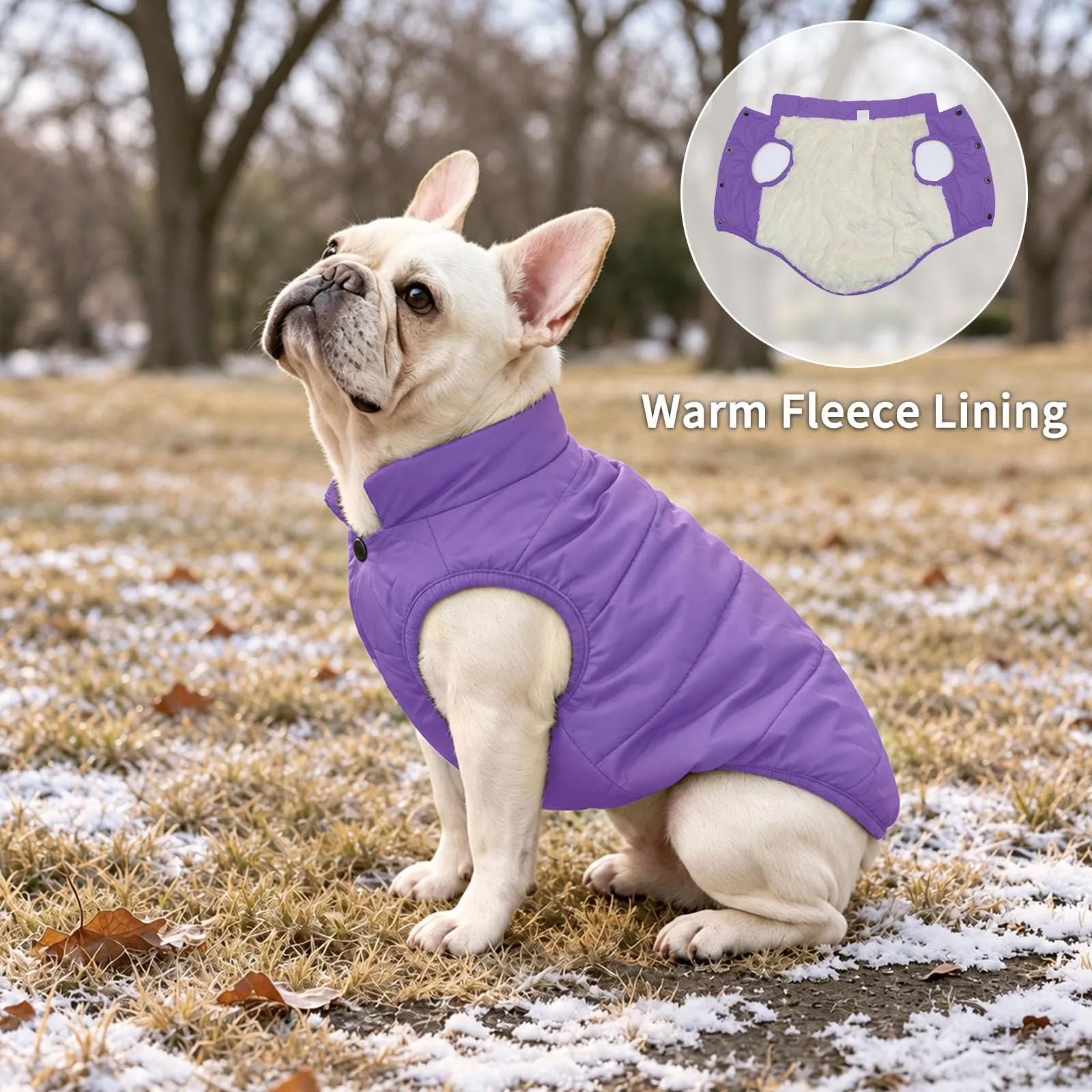 JoyDaog Giacca invernale foderata in pile per cani, impermeabile e antivento, Viola M - immagine 3