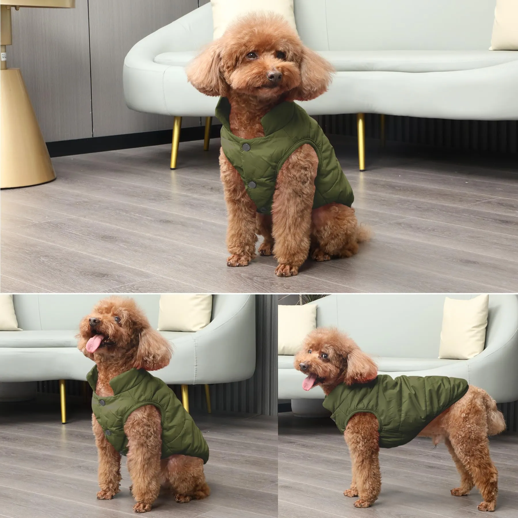 JoyDaog Cappottino per cani foderato in pile, antivento, verde, XS - immagine 6