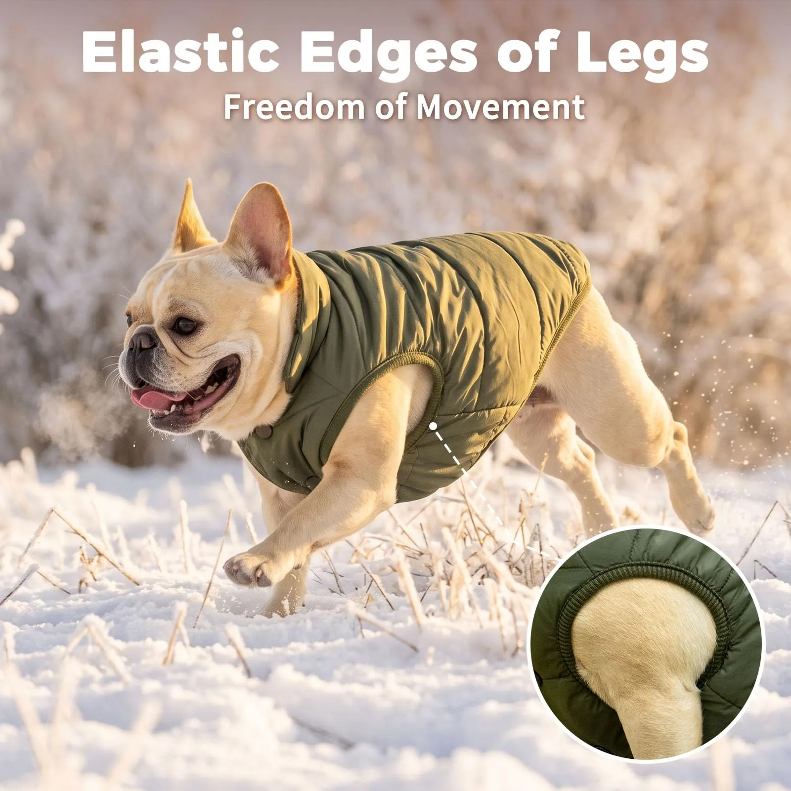 JoyDaog Cappottino per cani foderato in pile, antivento, verde, XS - immagine 7