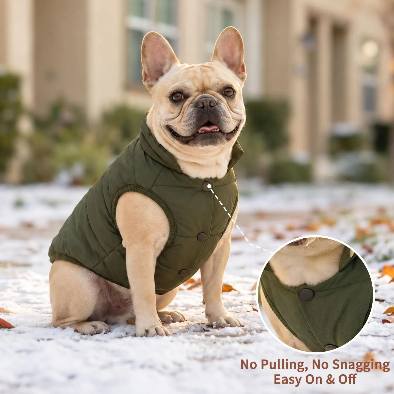 JoyDaog Cappottino per cani foderato in pile, antivento, verde, XS - immagine 9