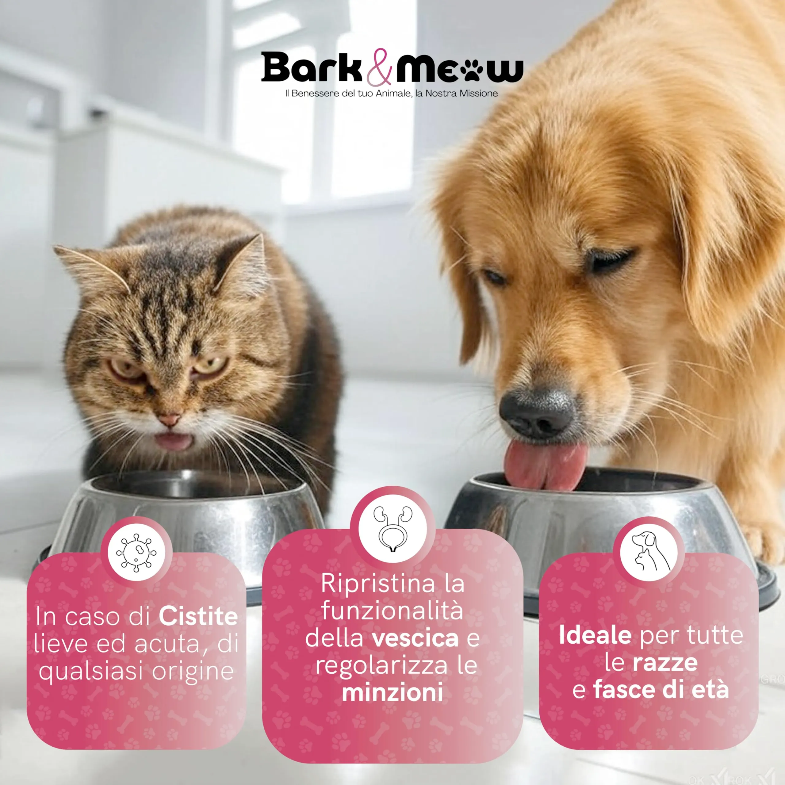 Bark & Meow CistyVet Forte Integratore per Vie Urinarie di Cani e Gatti, 30 Compresse - immagine 4