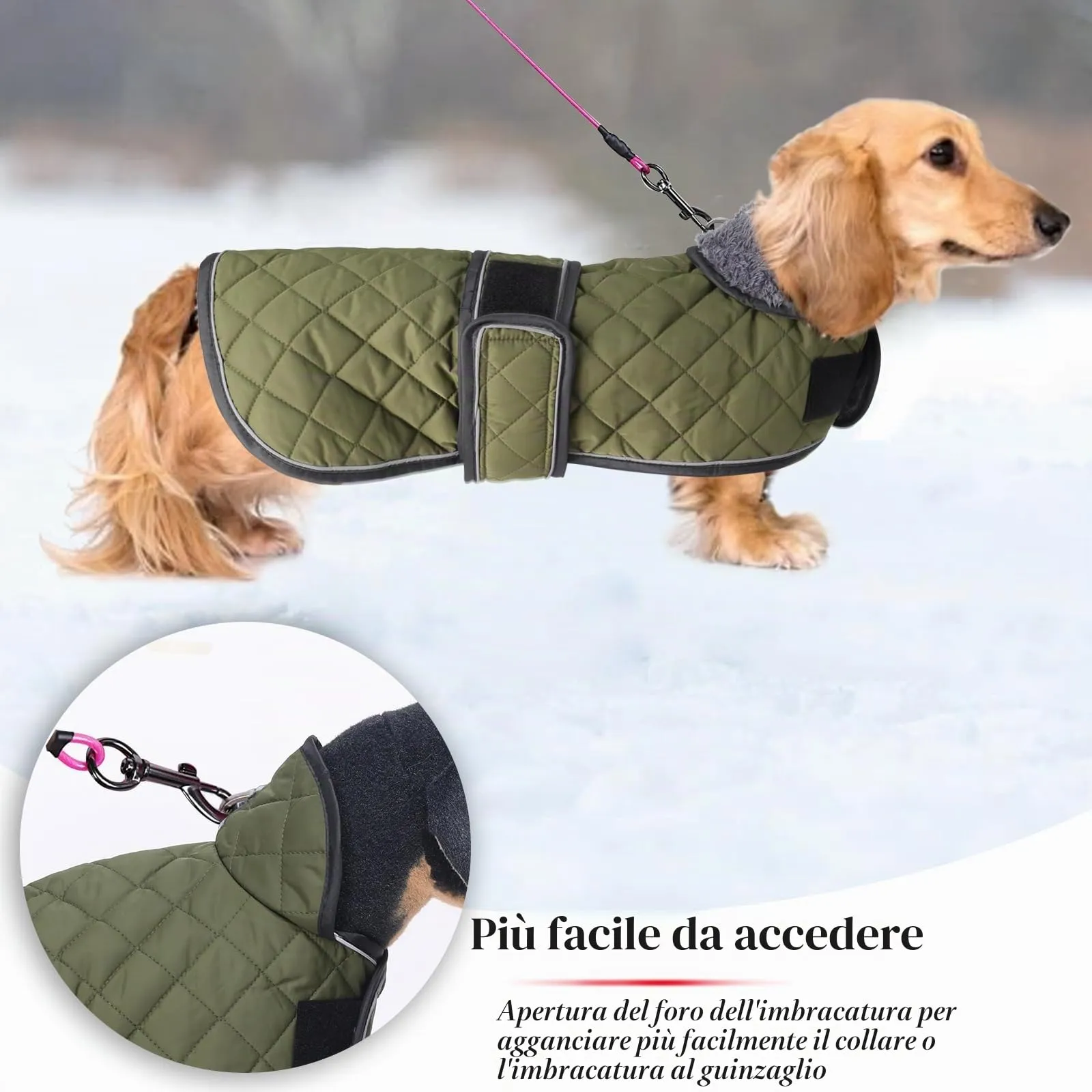 Geyecete Cappotto Invernale Termico Trapuntato per Cane Bassotto, Fodera in Pile, Foro per Imbracatura, Verde, S - immagine 4