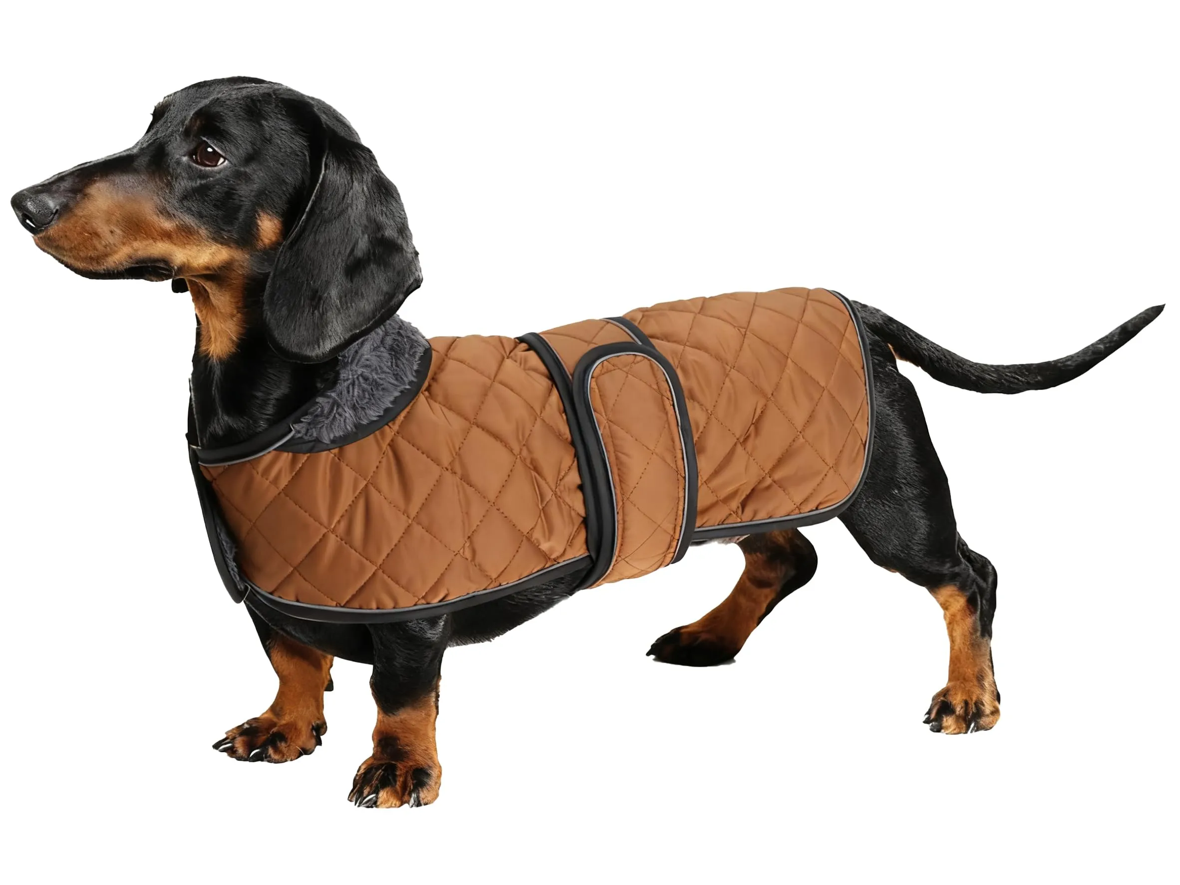 Geyecete Cappotto Invernale Termico Trapuntato per Cani Bassotti con Fodera in Pile e Foro per Imbracatura, Marrone, M - immagine 1